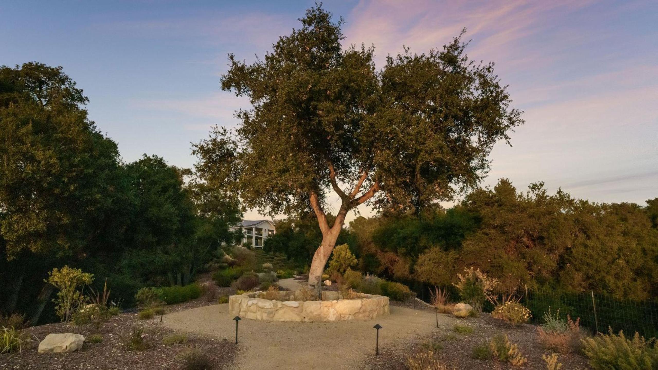 Vineyard Views w Pool Game Room Near Trails Wineries Beginnings Ranch Vineyard by AvantStay