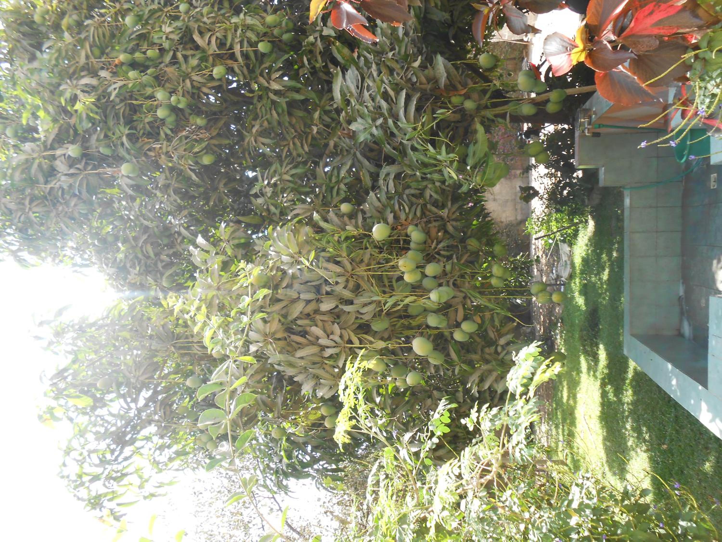 Photo 201