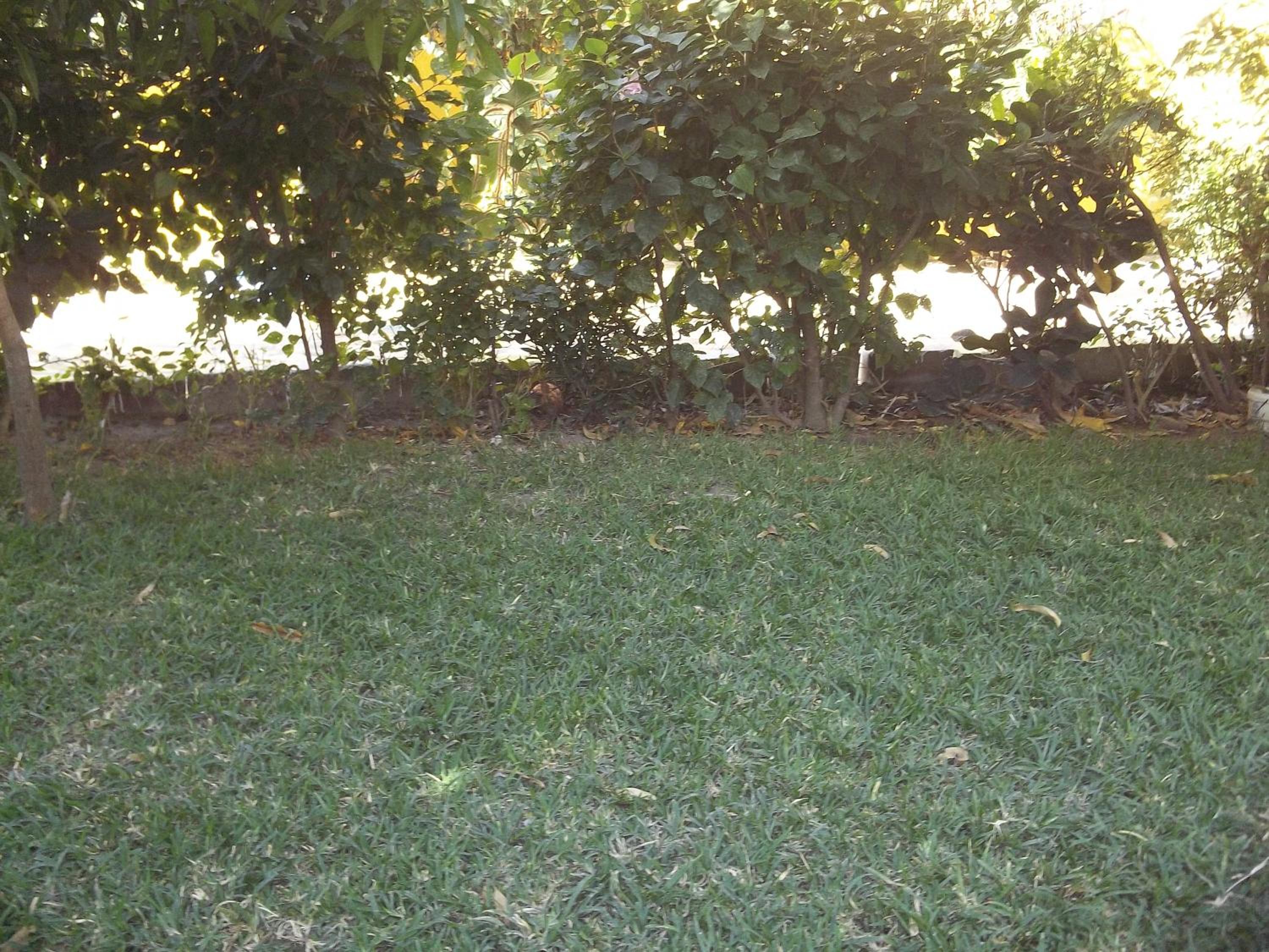 Photo 260