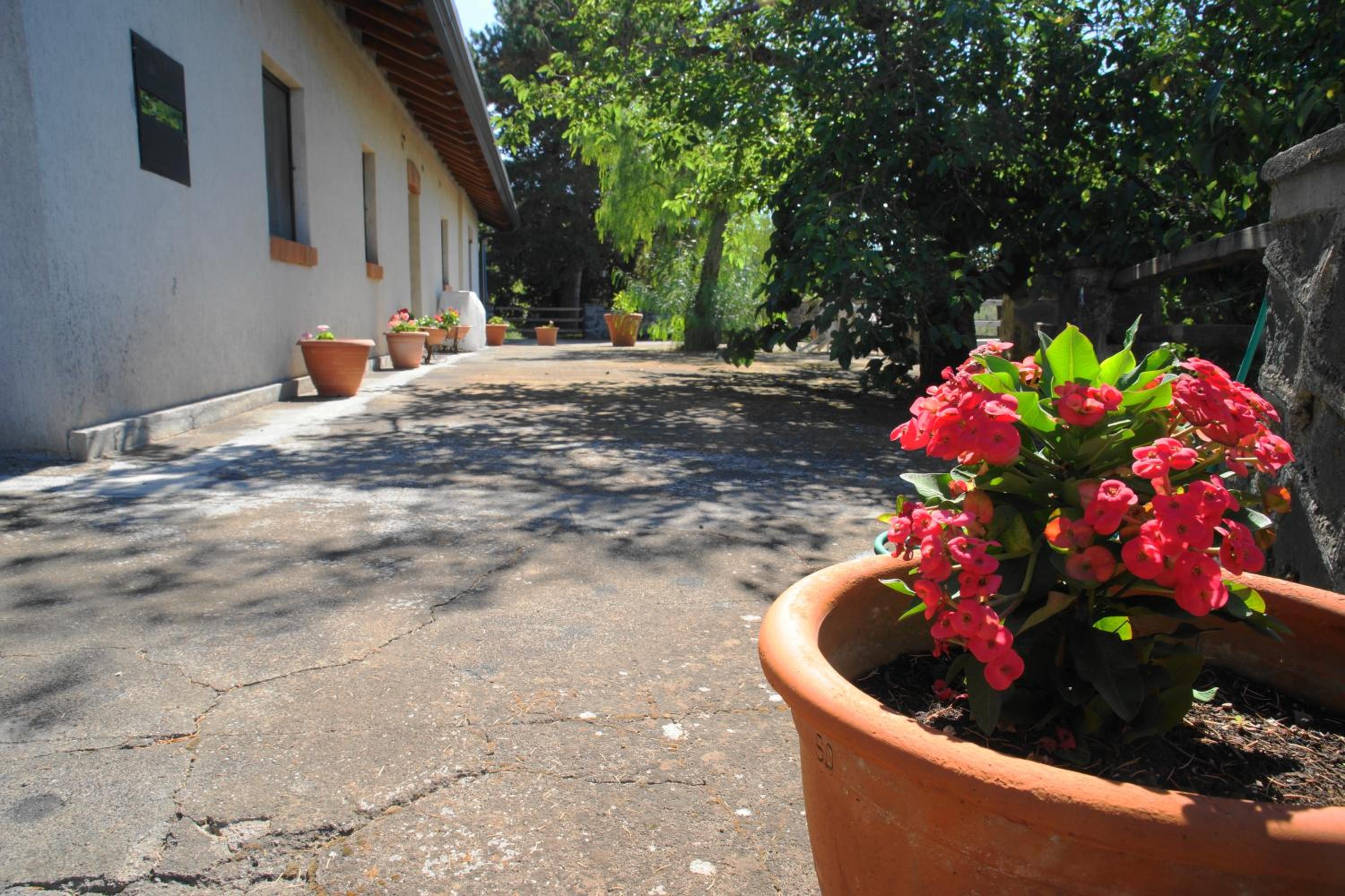 Etna Paradise locazioni brevi