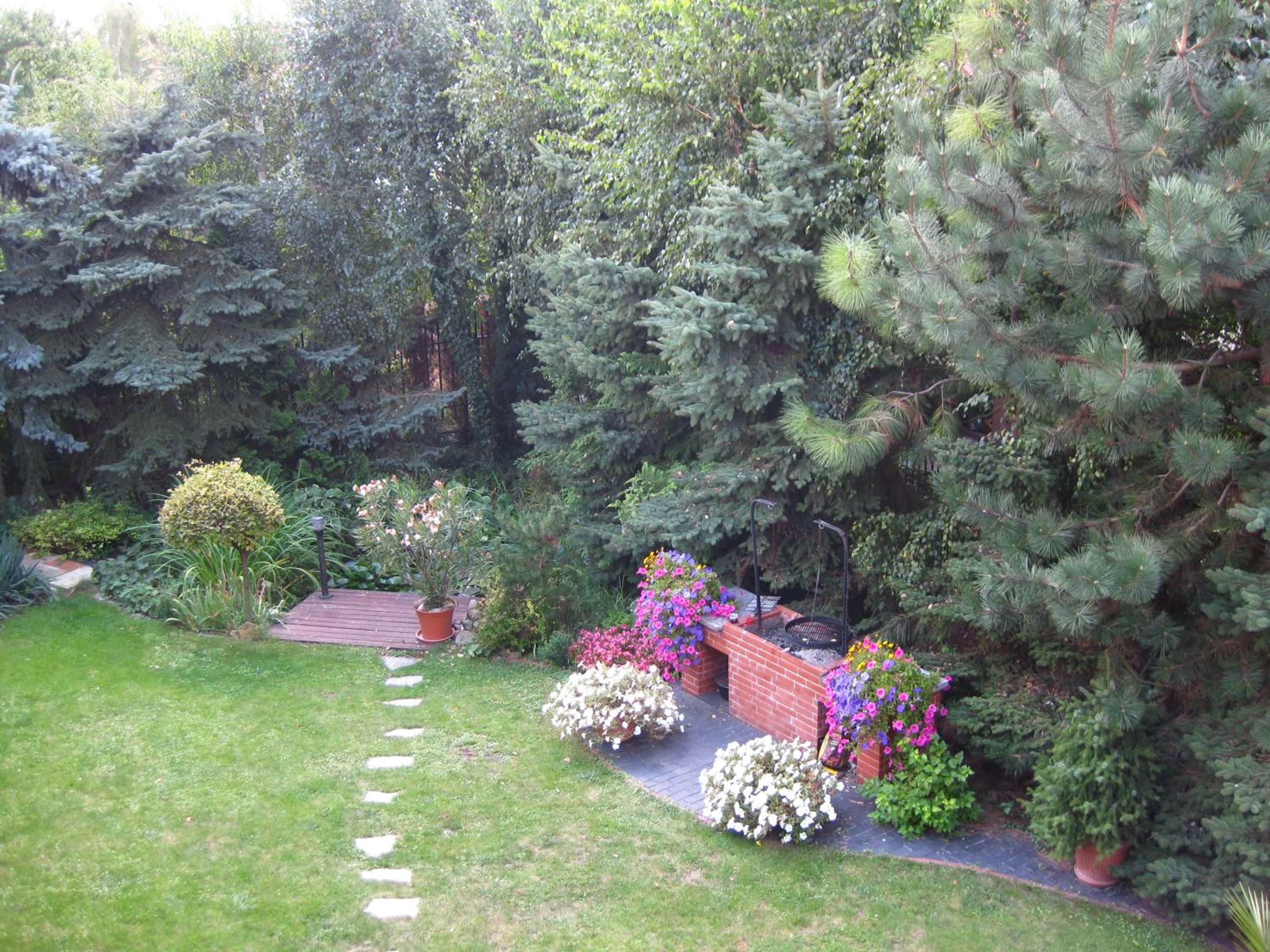 Photo 35