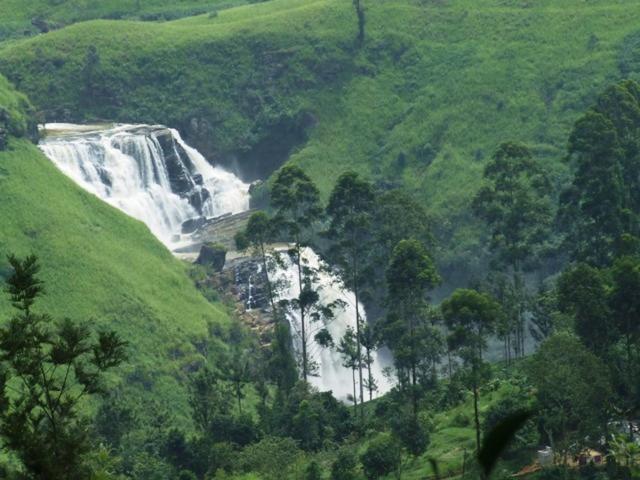 Photo 71