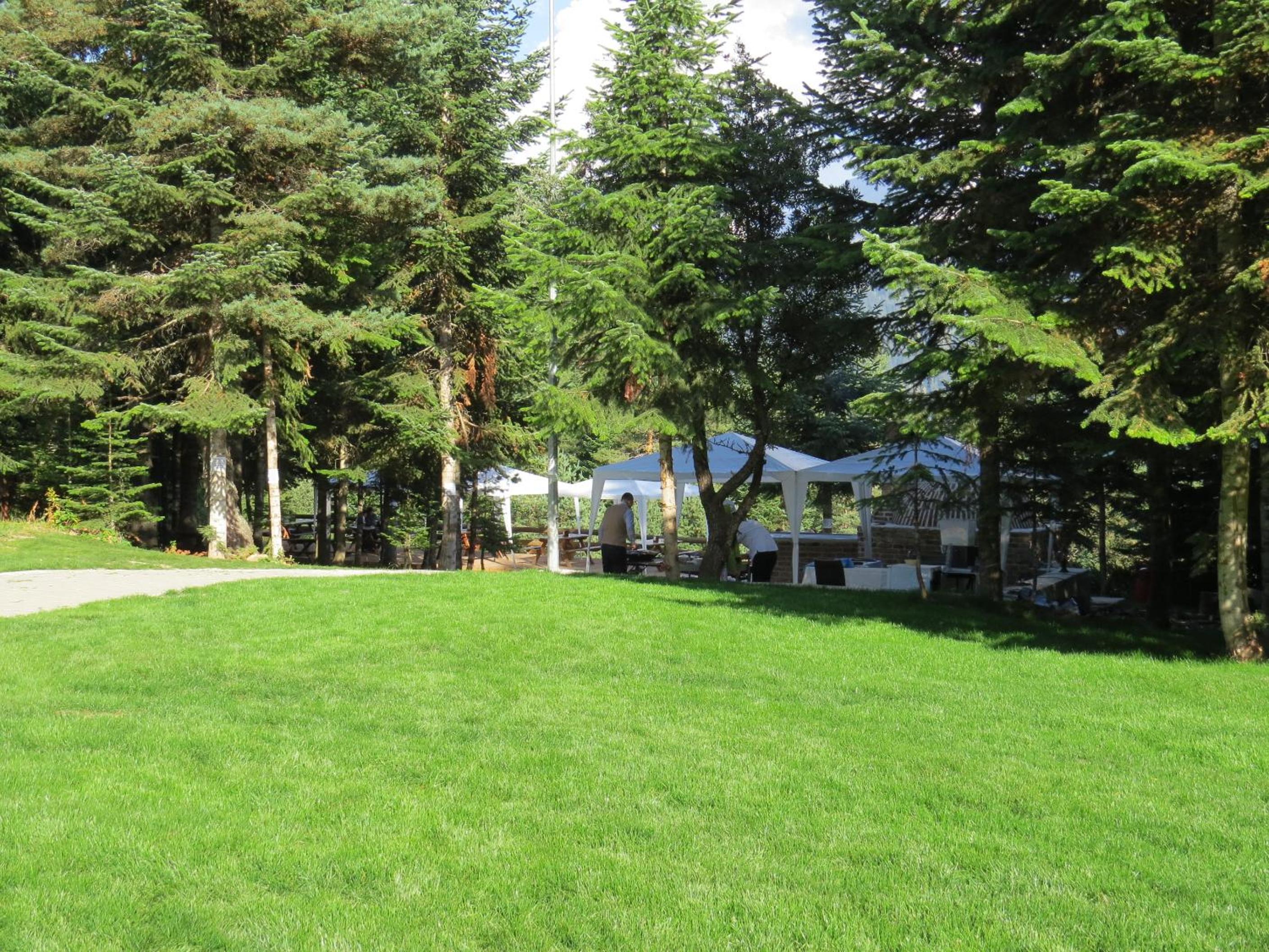 Ilgaz Mountain Resort Hotel