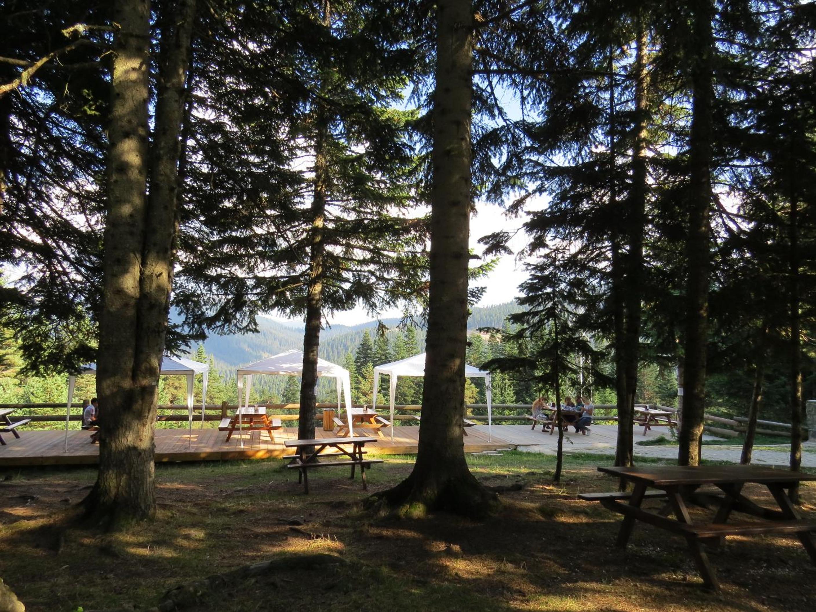 Ilgaz Mountain Resort Hotel