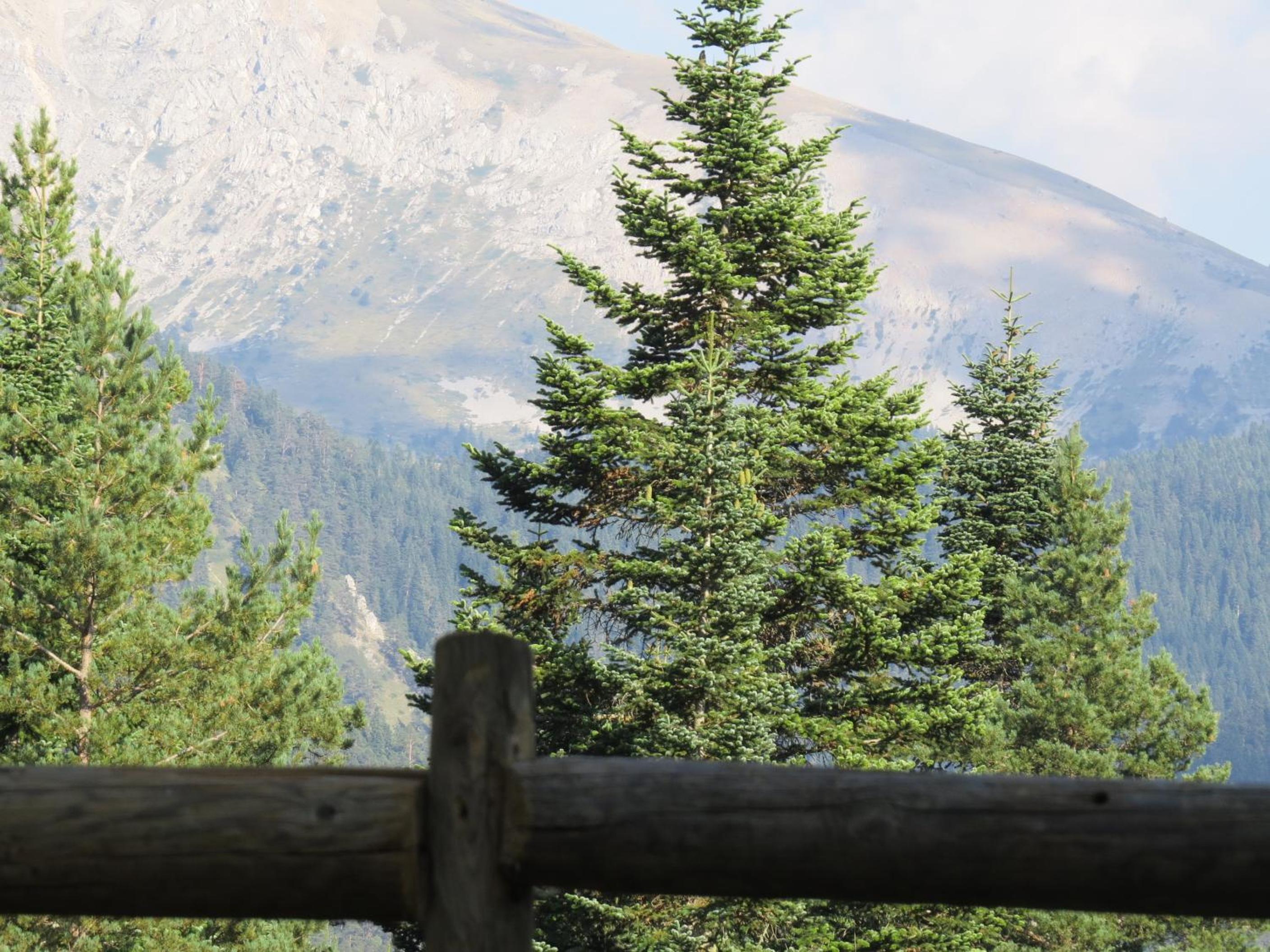 Ilgaz Mountain Resort Hotel