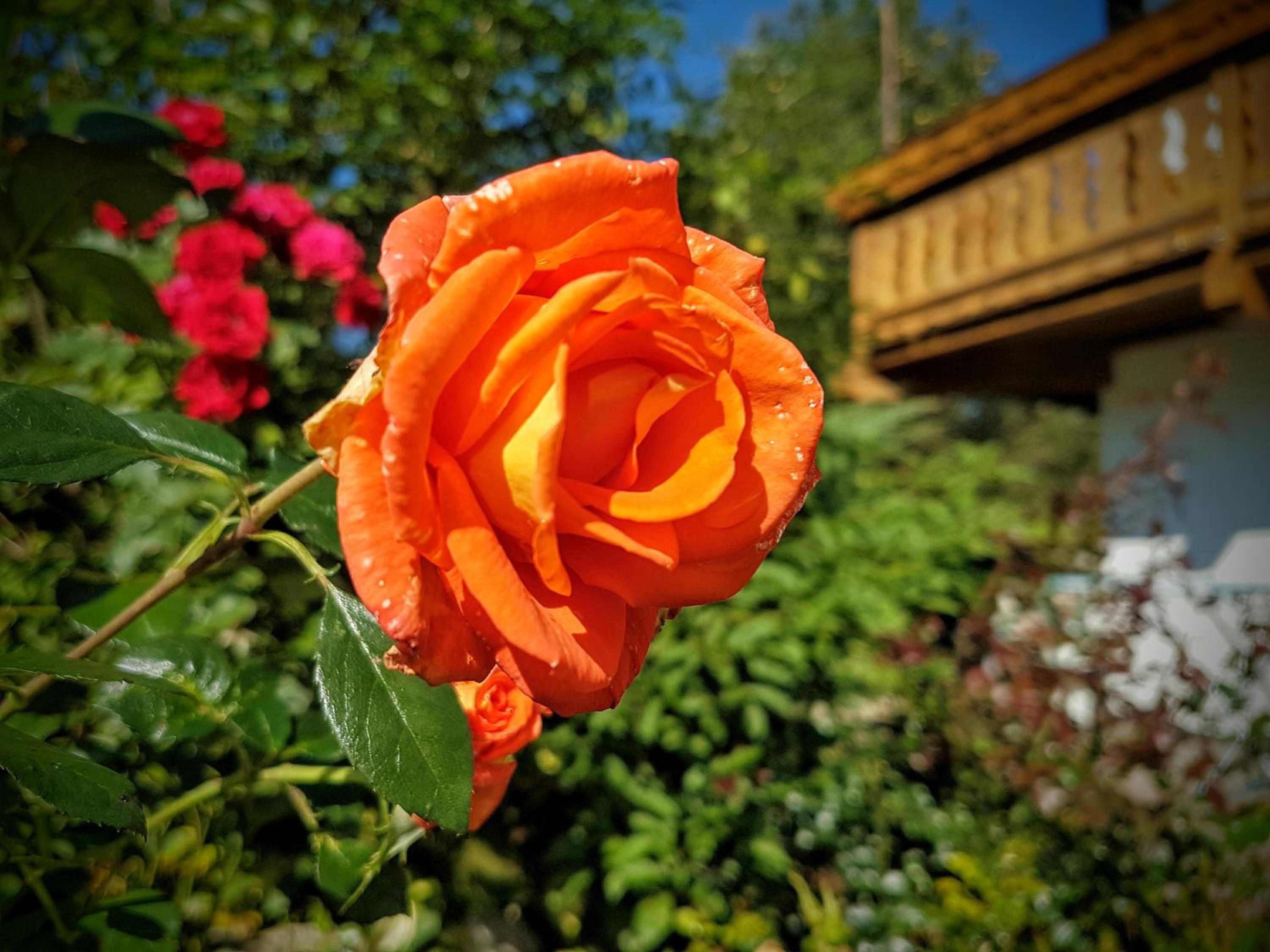 Photo 14