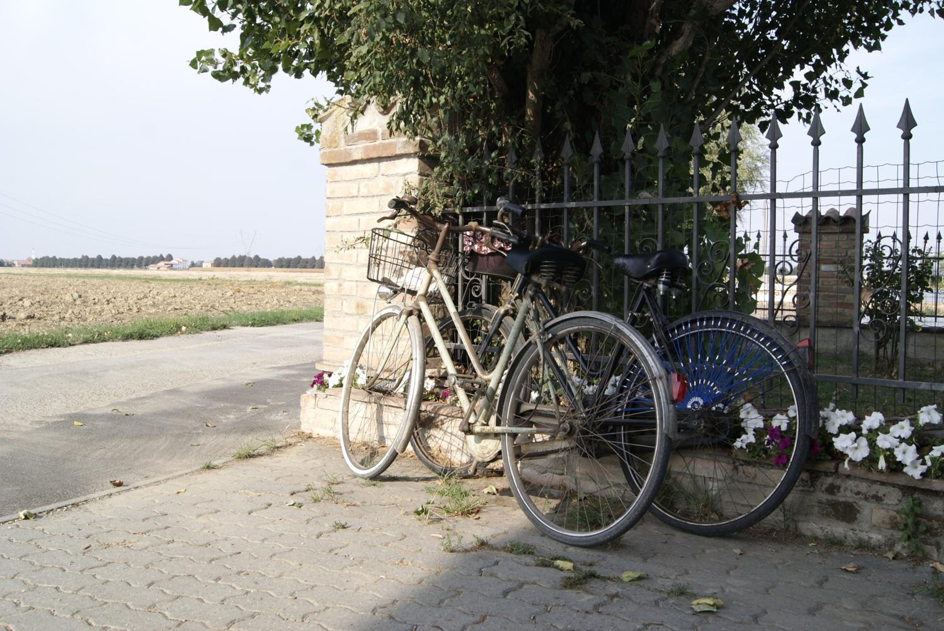 Antico Pioppo