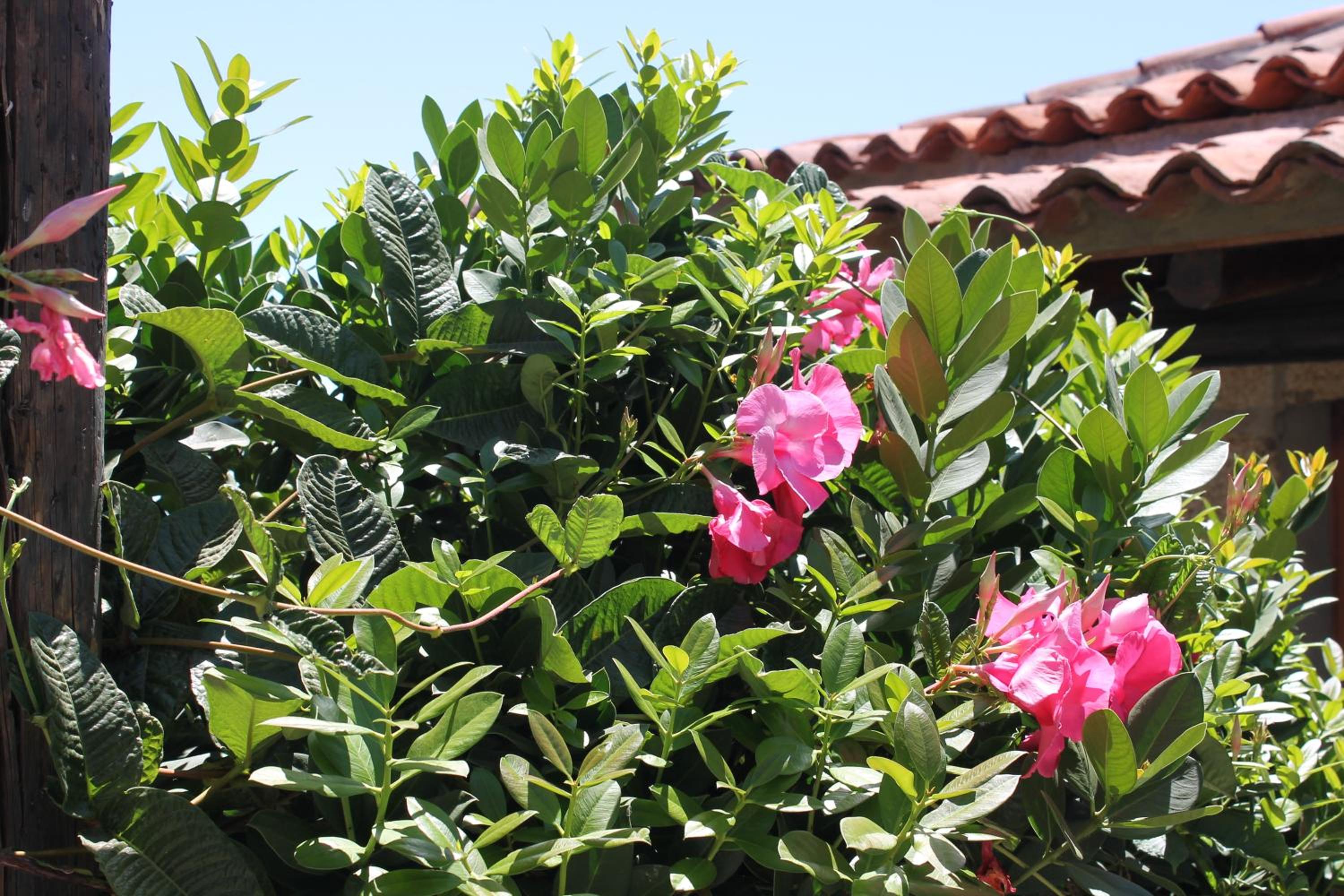 Casa Rural Anton Piche with Pool-Adults Only