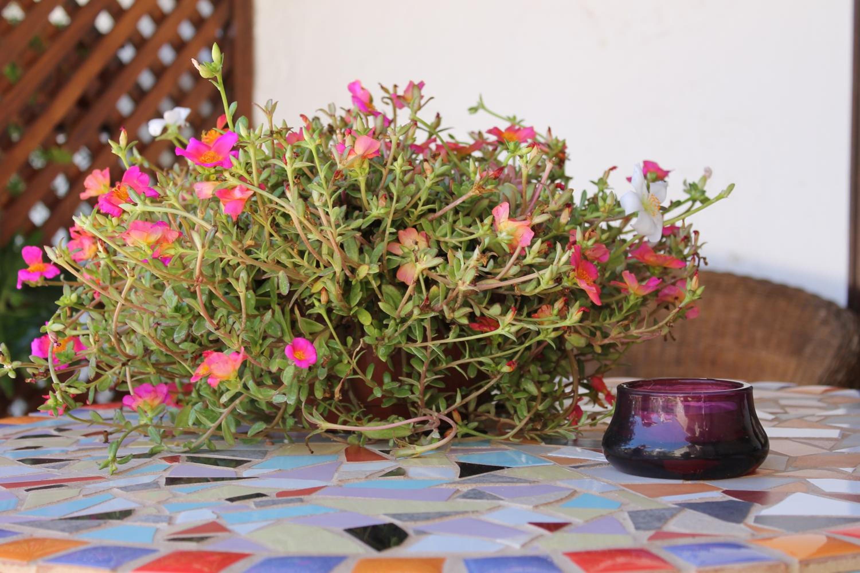 Casa Rural Anton Piche with Pool-Adults Only