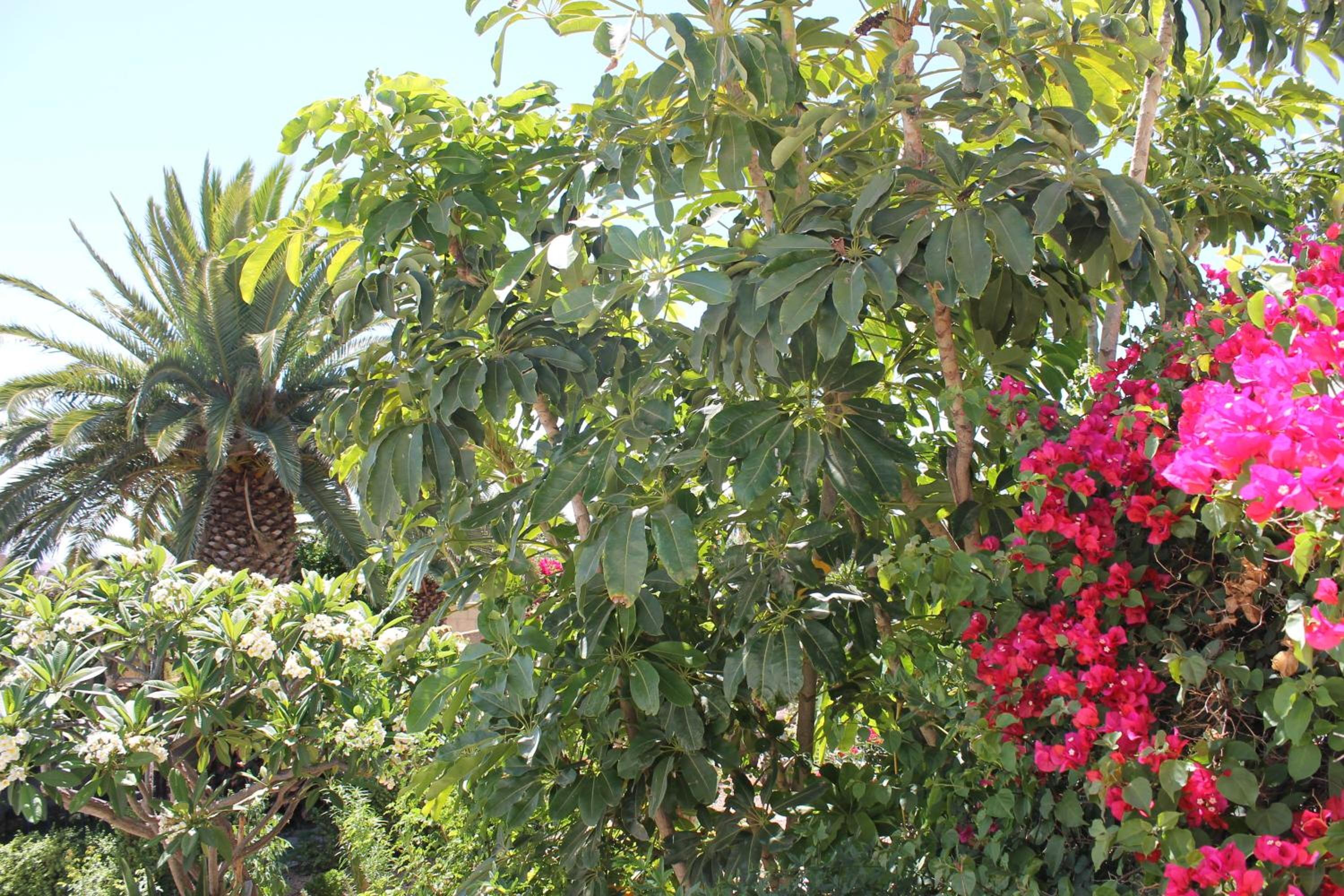 Casa Rural Anton Piche with Pool-Adults Only