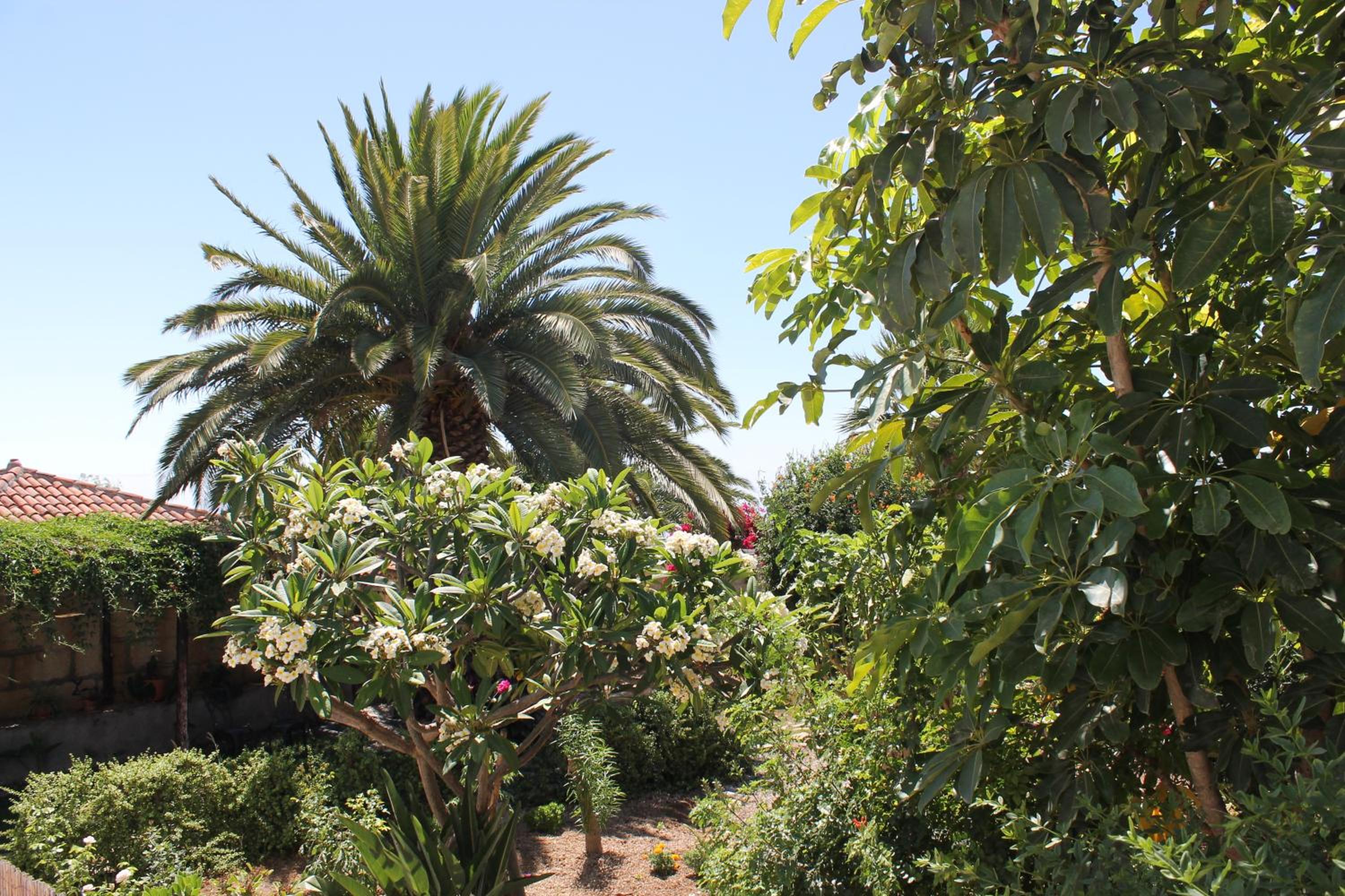 Casa Rural Anton Piche with Pool-Adults Only