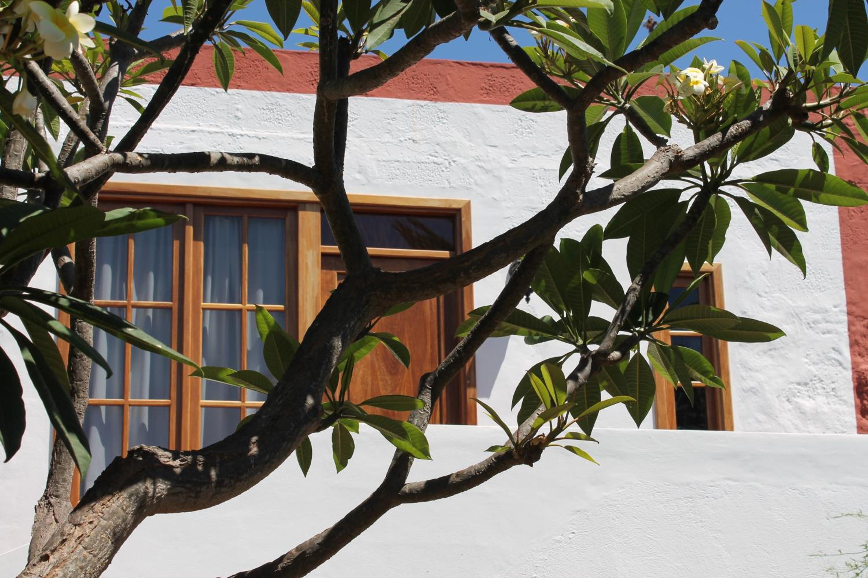 Casa Rural Anton Piche with Pool-Adults Only