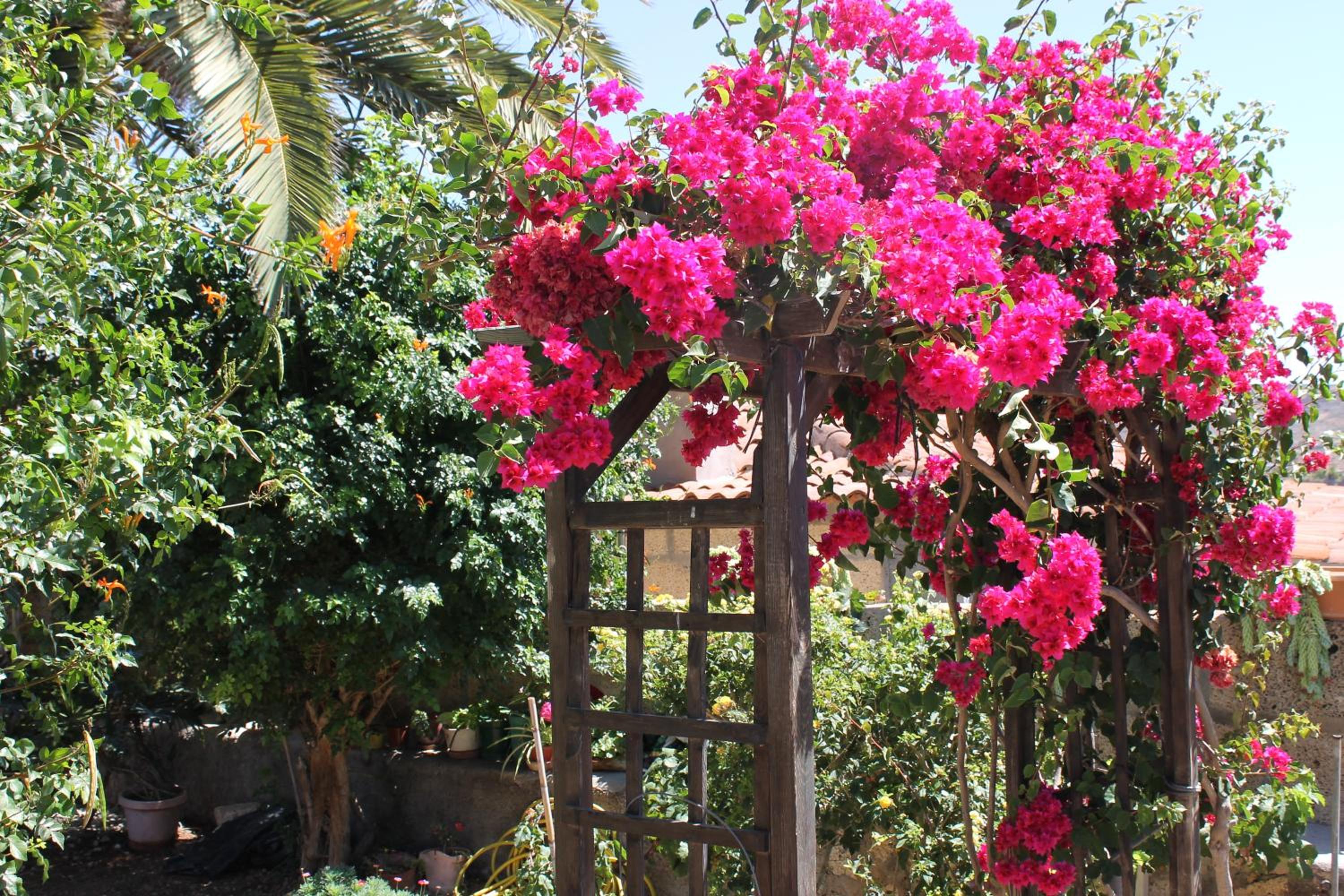 Casa Rural Anton Piche with Pool-Adults Only