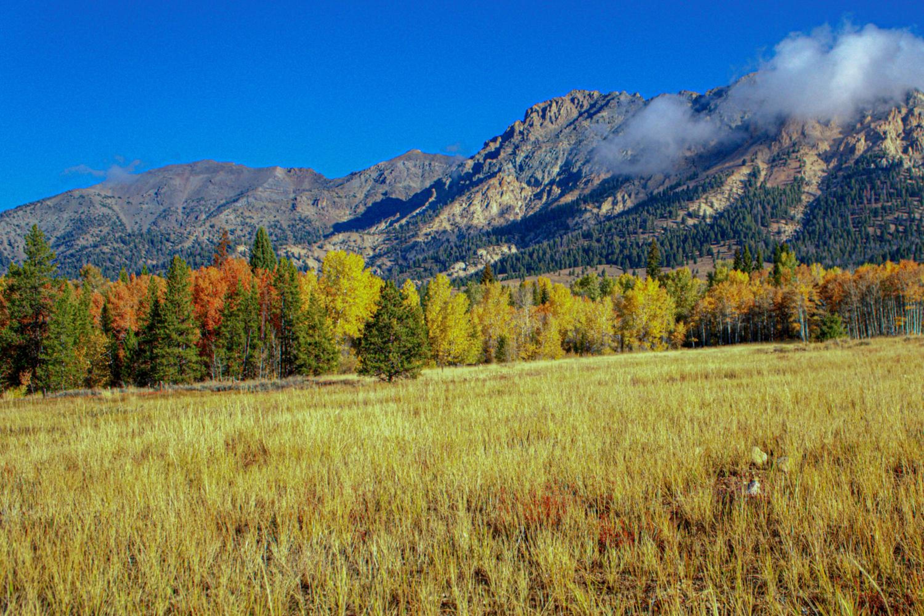 4BD Villager Mountain Retreat + SV Resort Passes