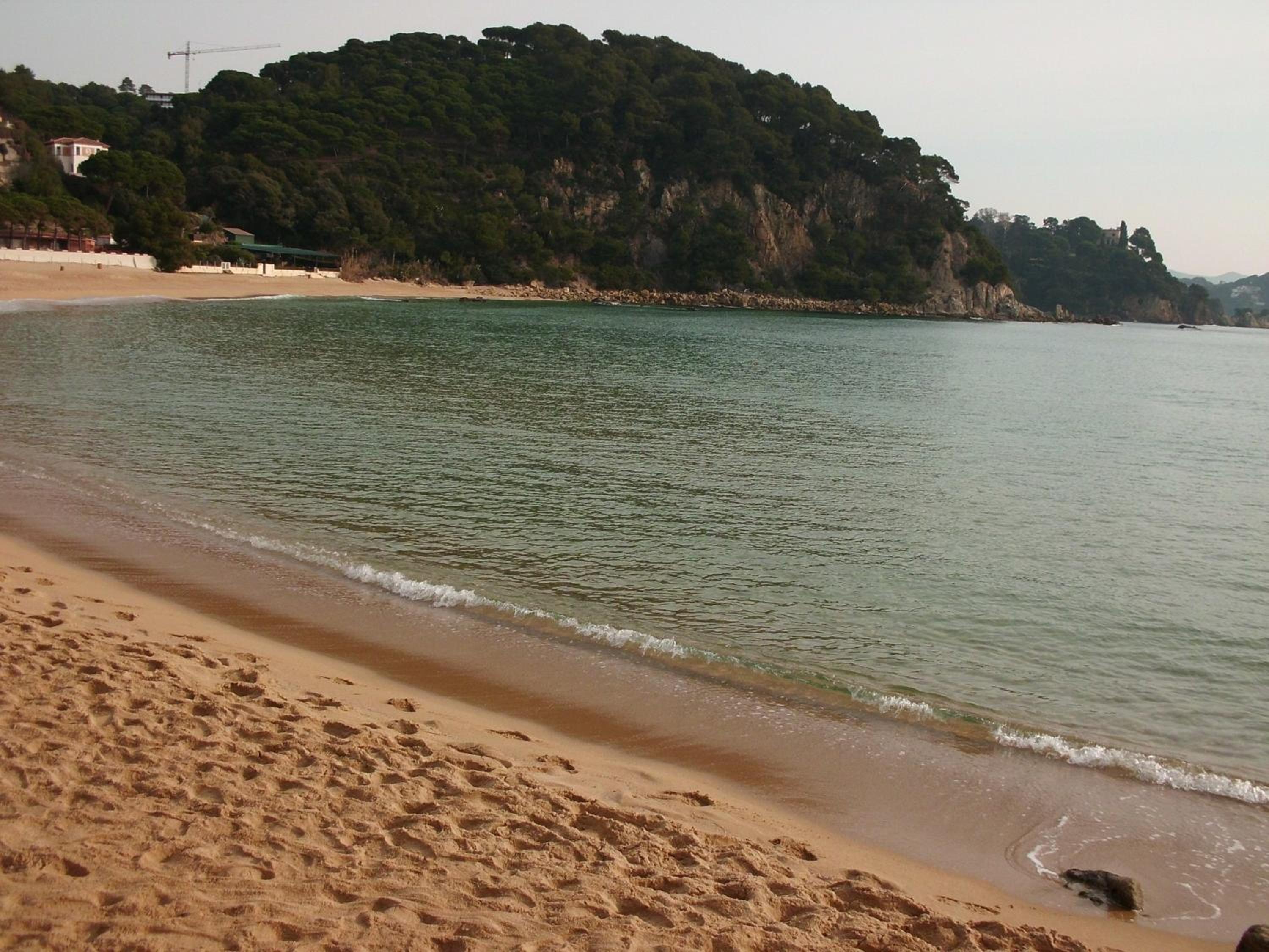 Photo 43
