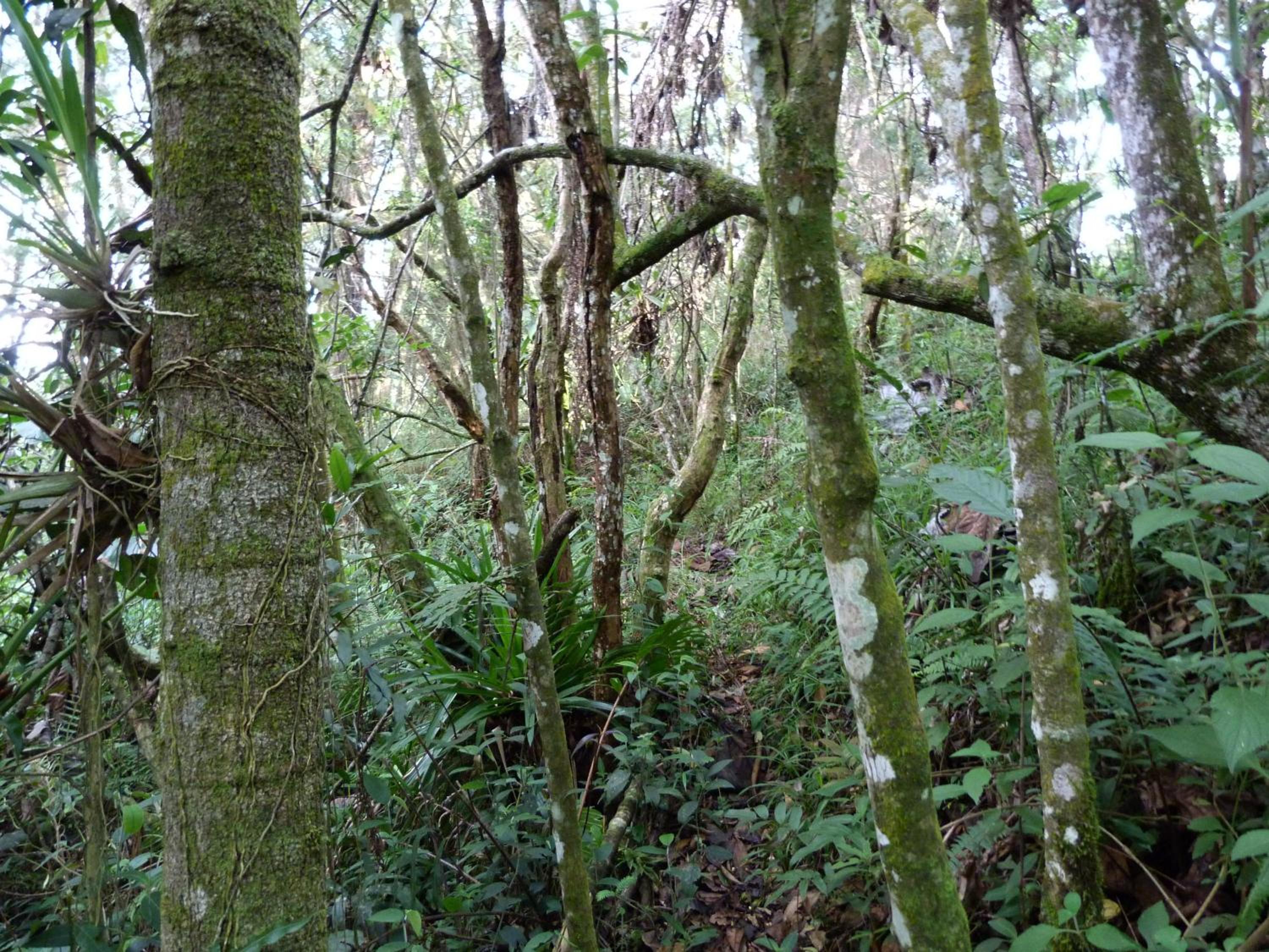 Photo 25