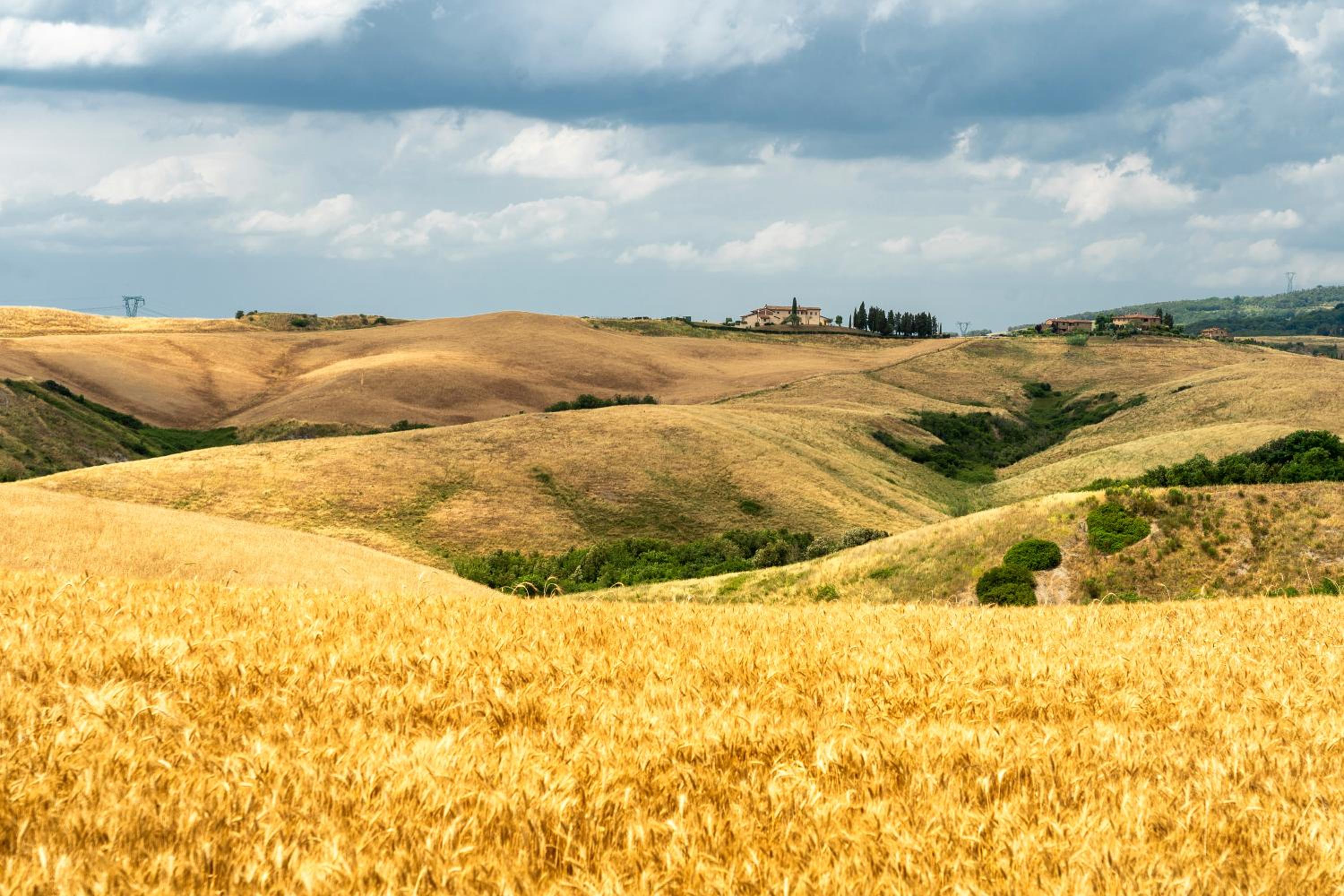 Berignone Natural Paradise Apt - Happy Rentals