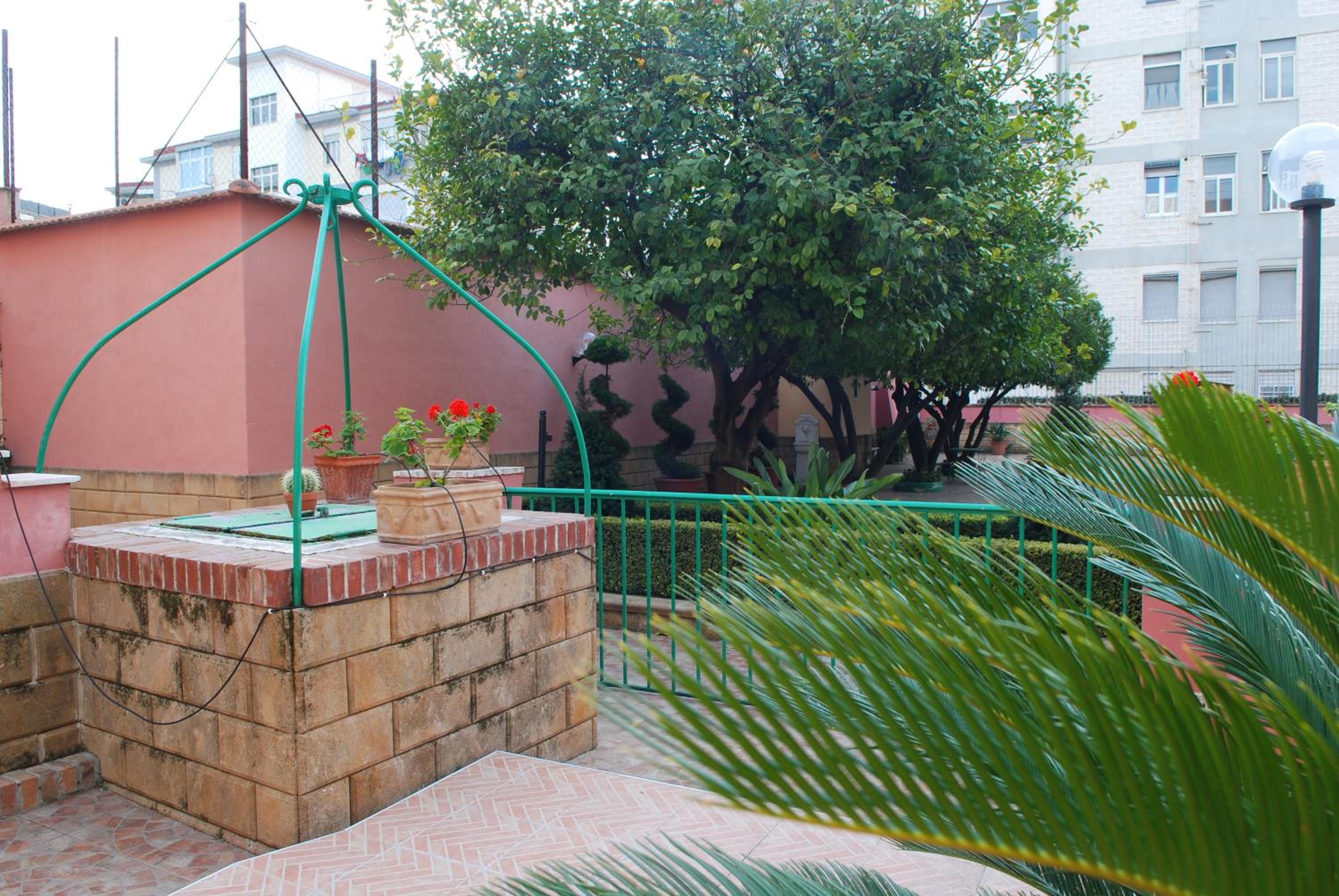 Photo 46