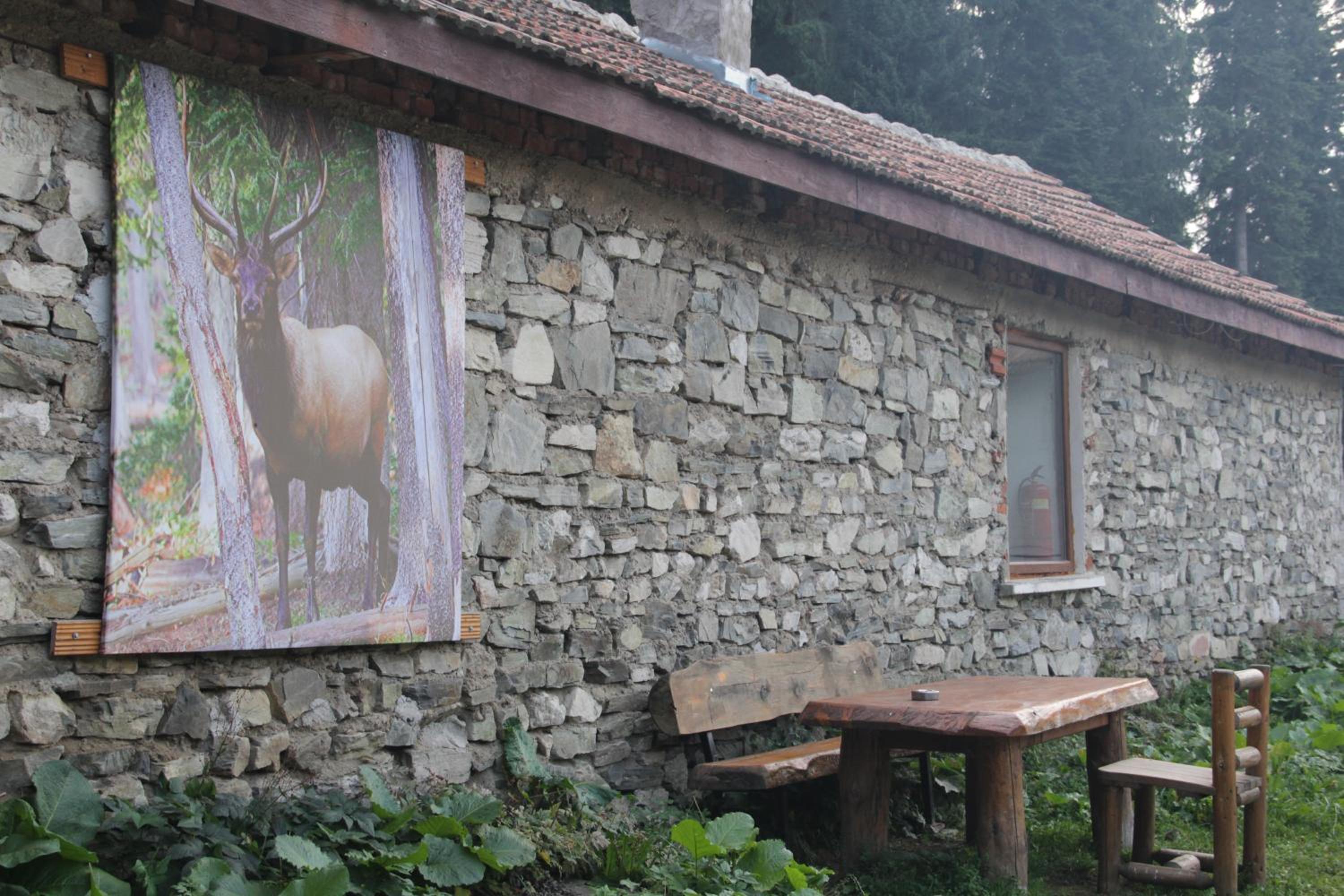 Malka Yurta Hut