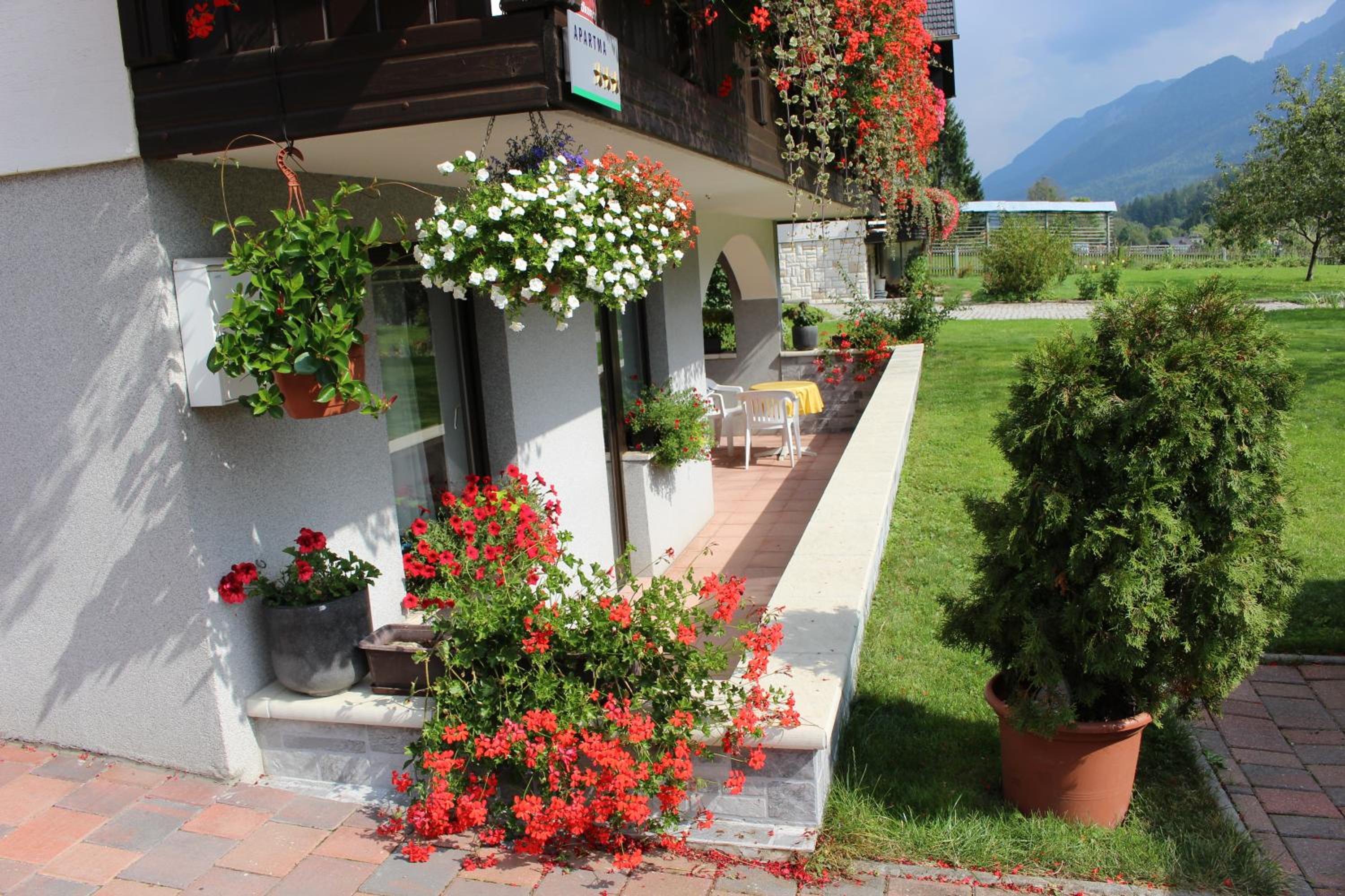 Apartma Maržič view 2