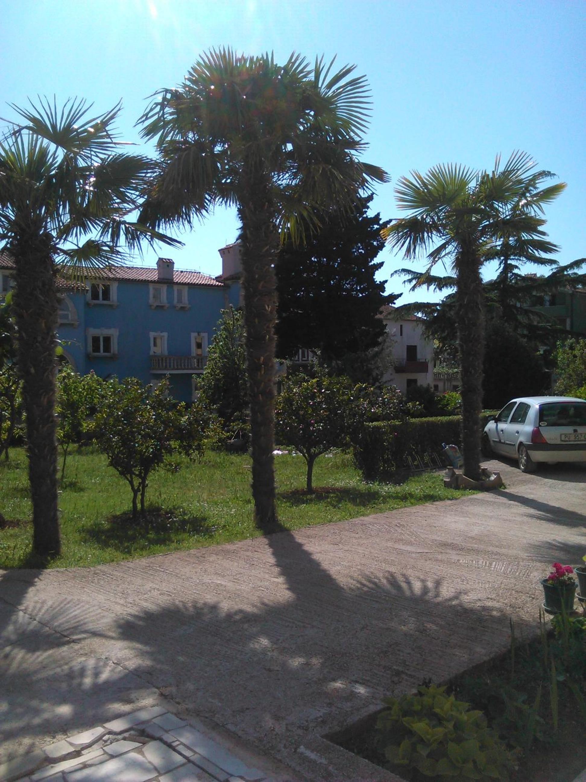 Apartments Zova