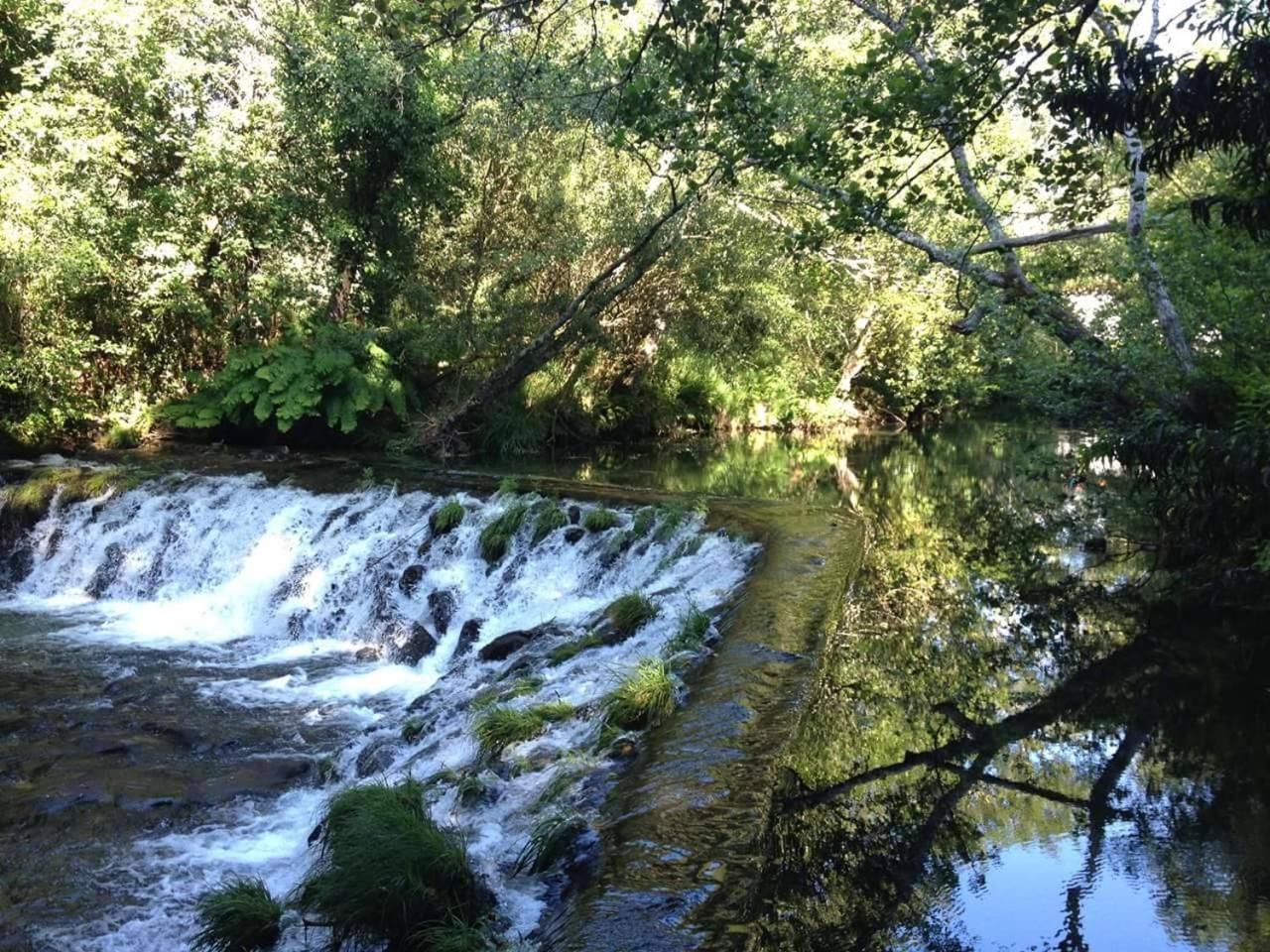 Photo 37