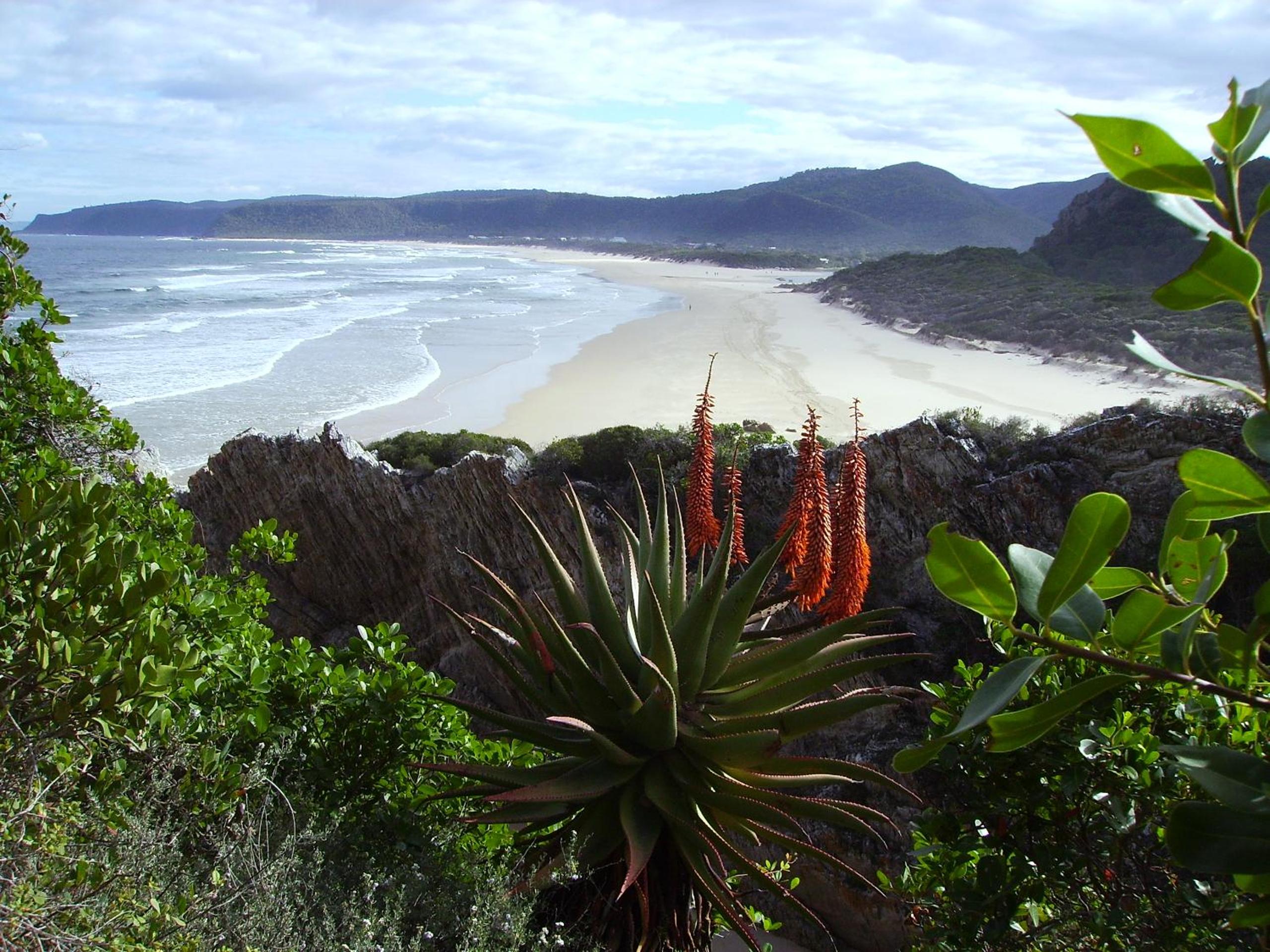 Storms River Guest Lodge