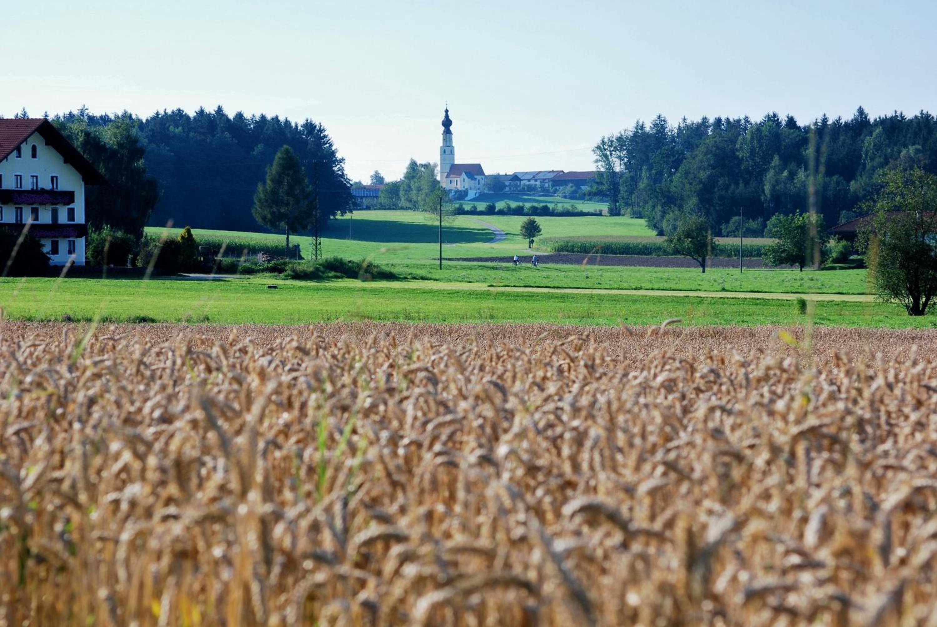 Gasthaus Hingerl