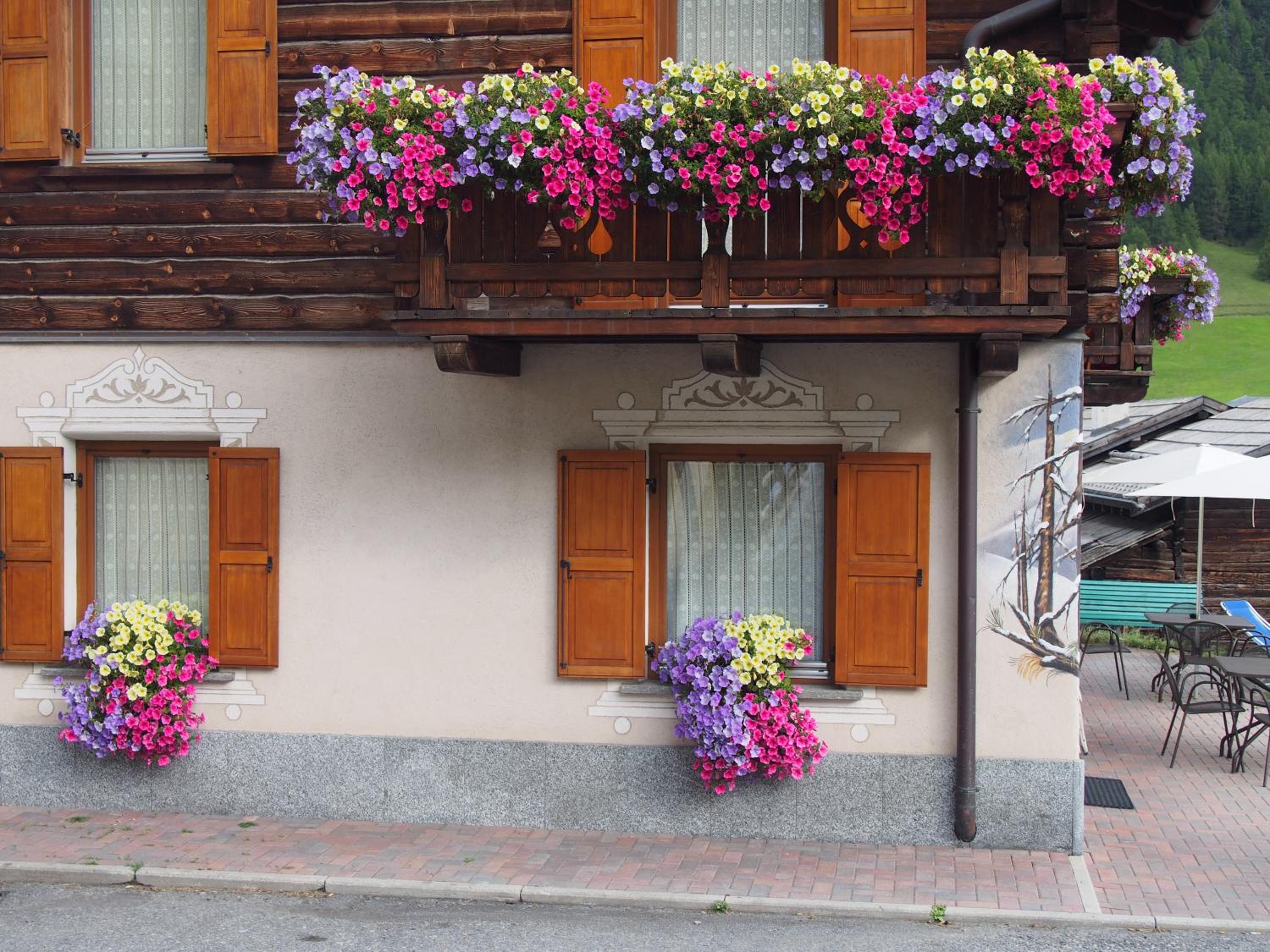 Photo 27