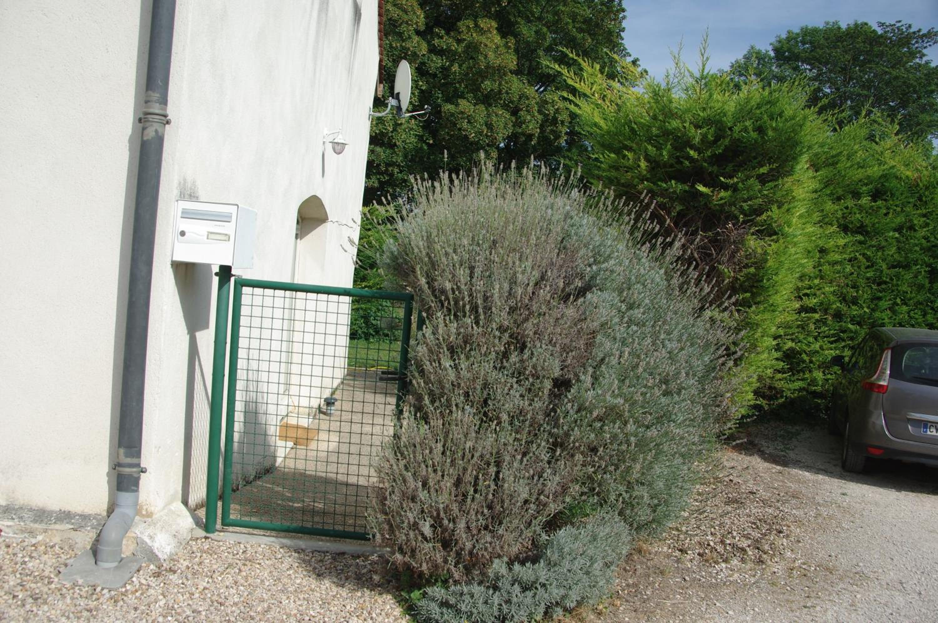 Photo 24