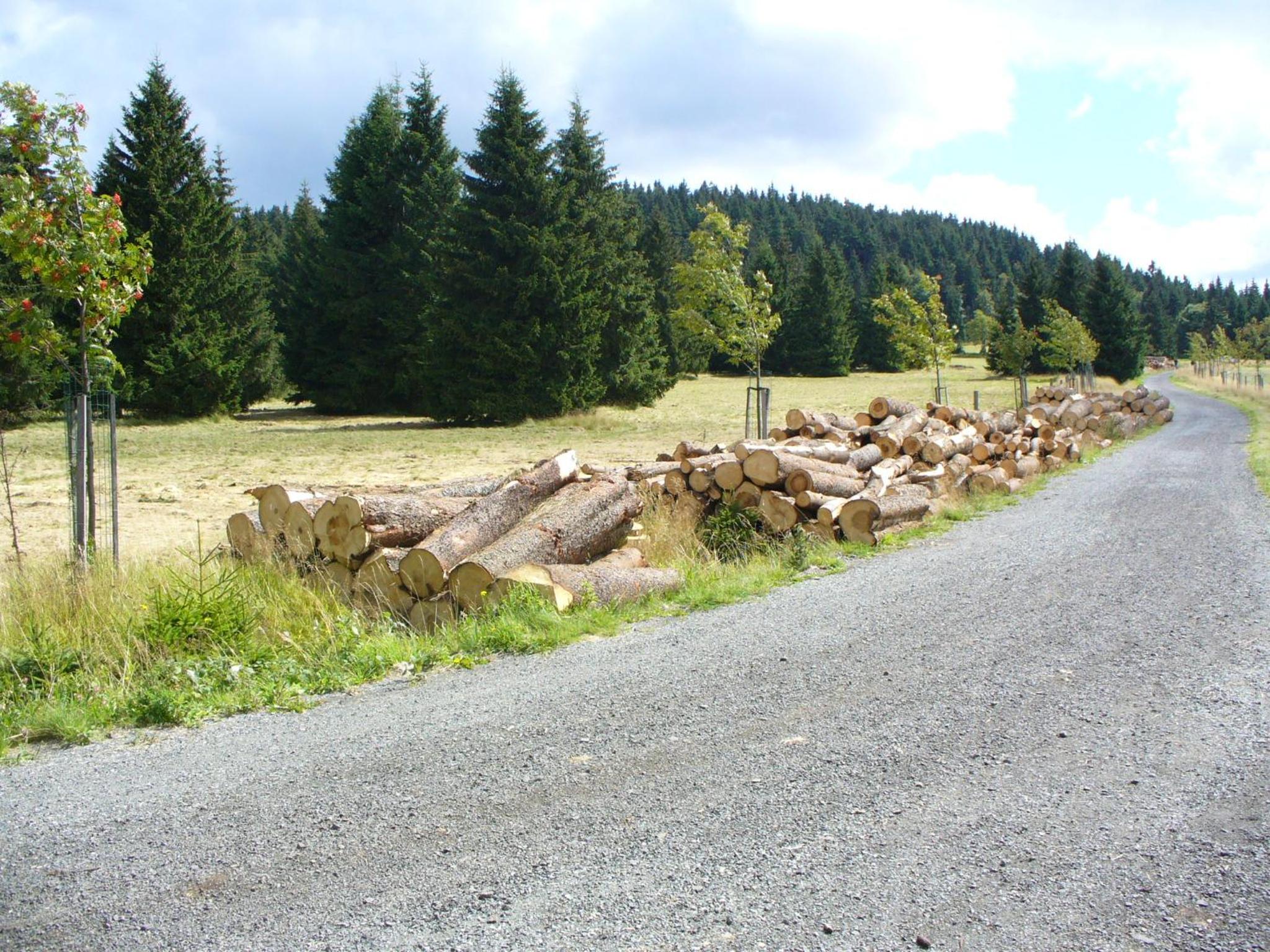 Photo 51