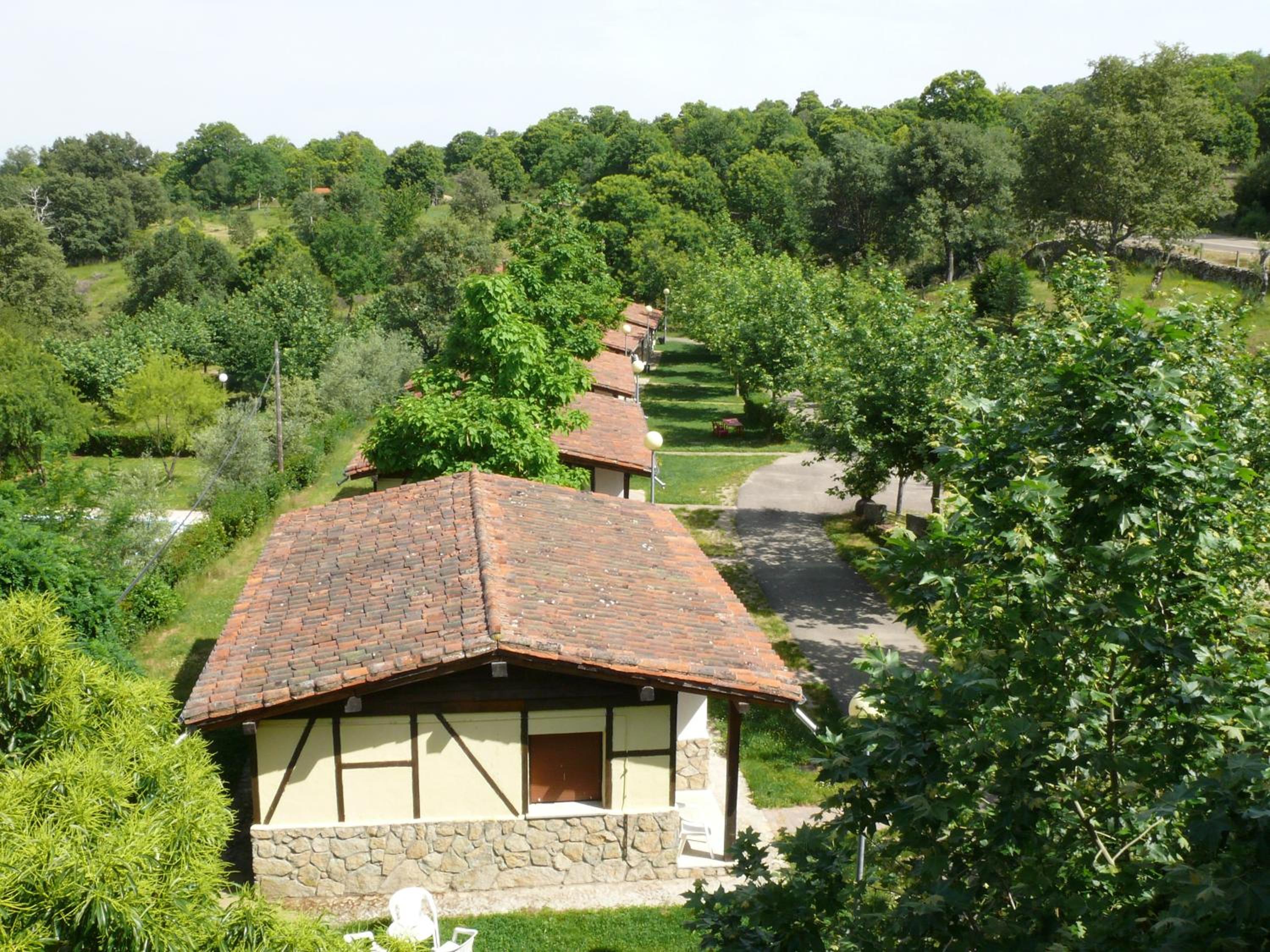 Photo 27
