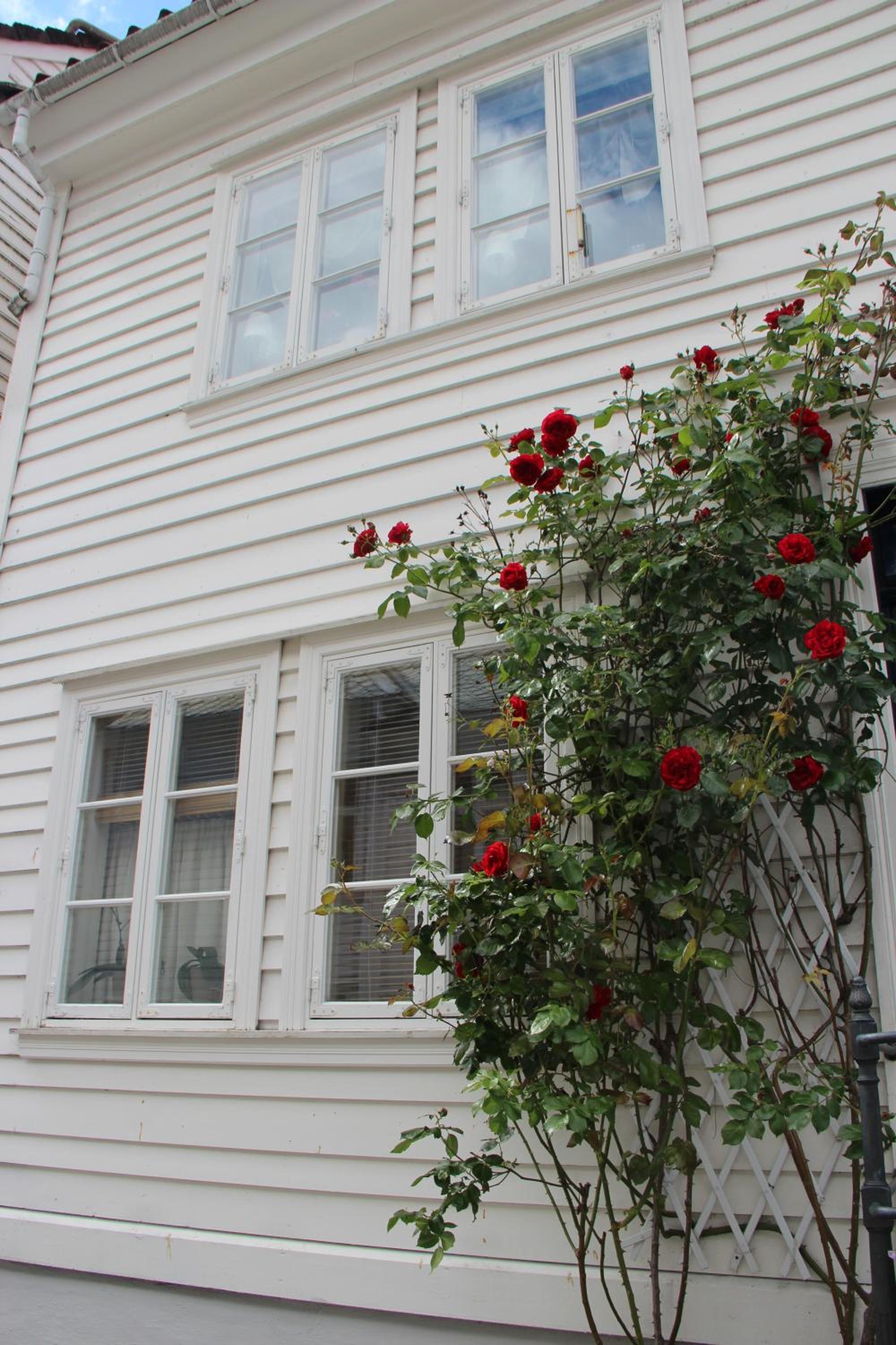 Bergen Vacations - Skuteviken Apartments Anno 1790 - Property Image 5