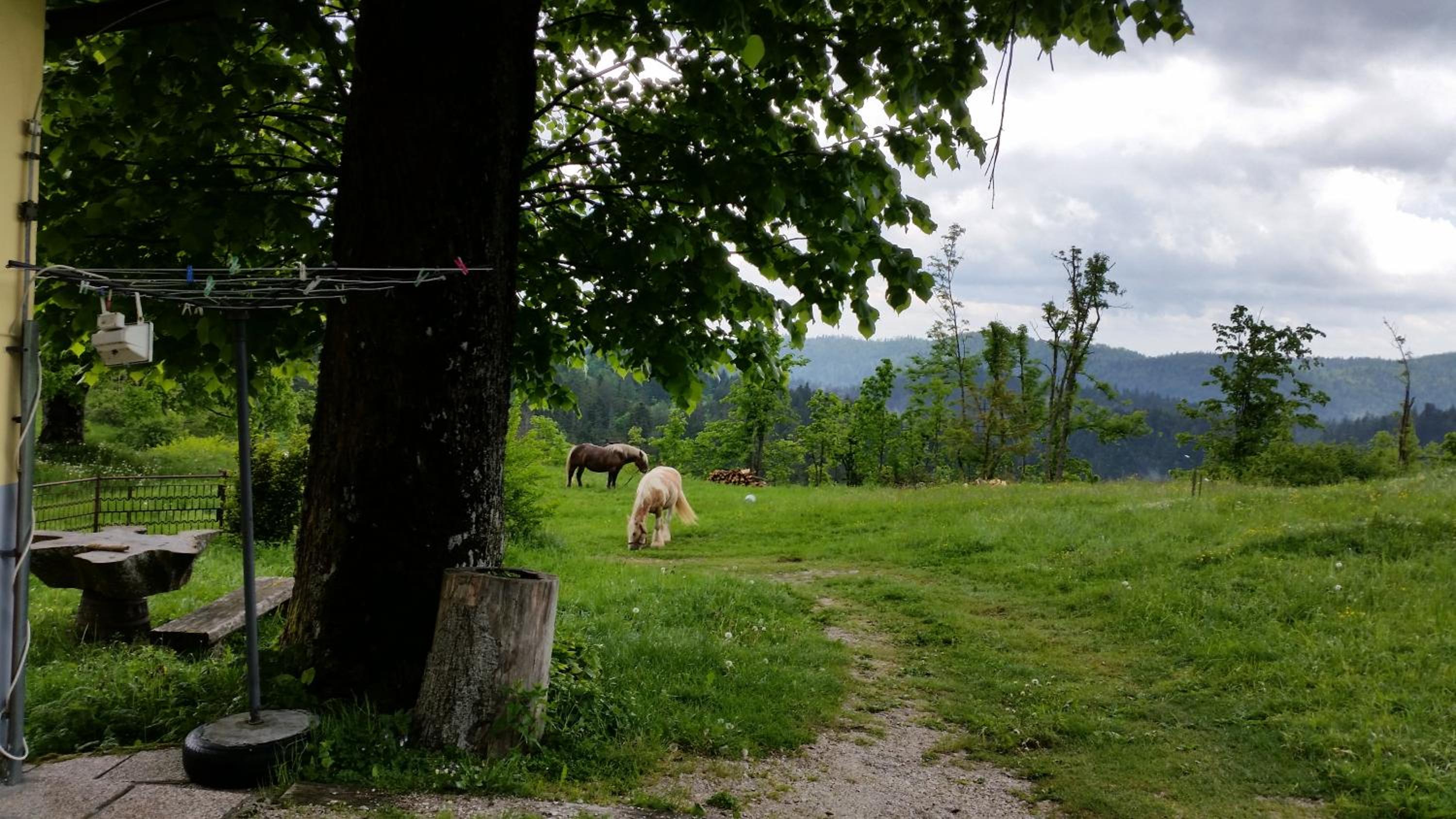 Gostilna Stara Pošta