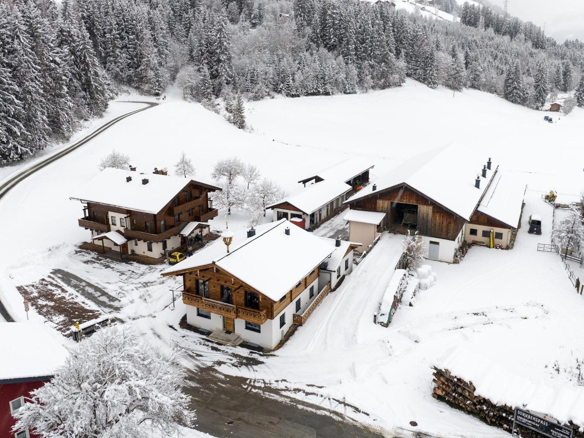 Mittersill apartment close to ski lifts