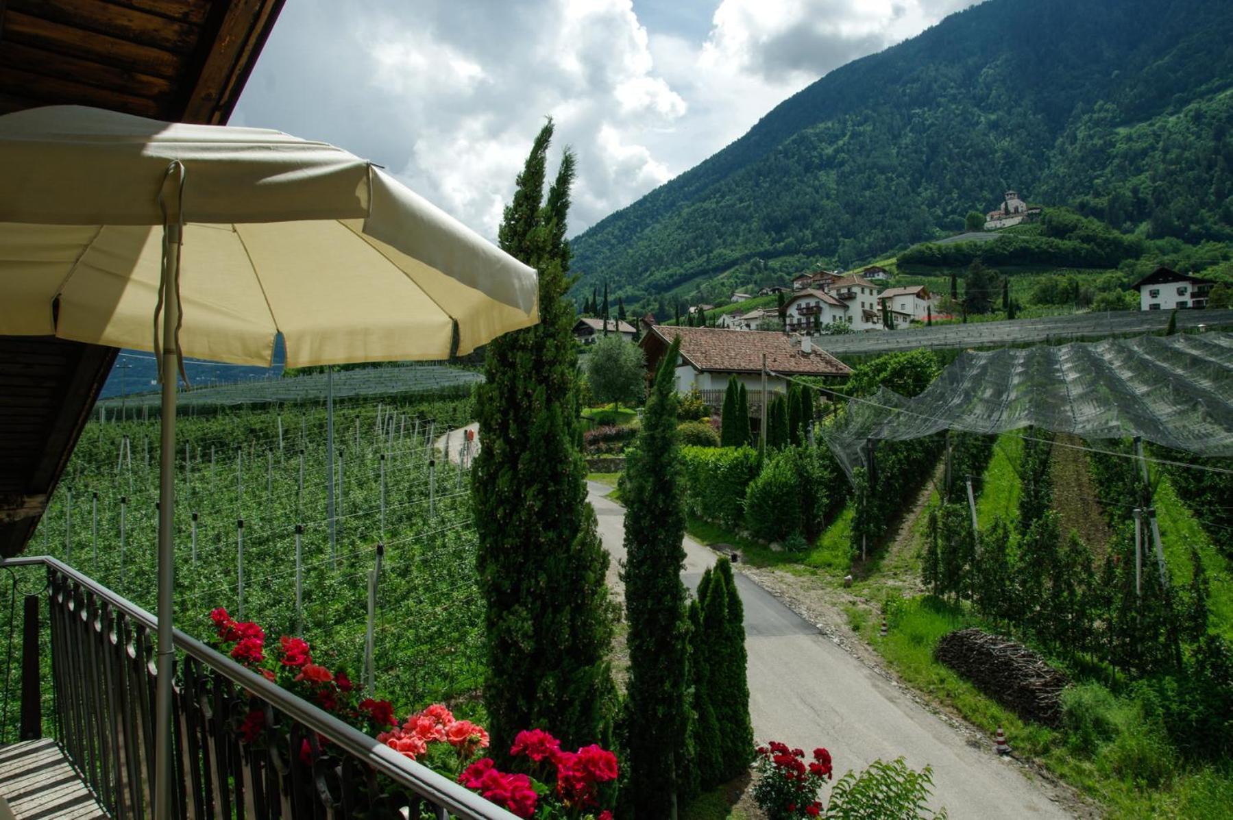 Haus Sonnegg view 2