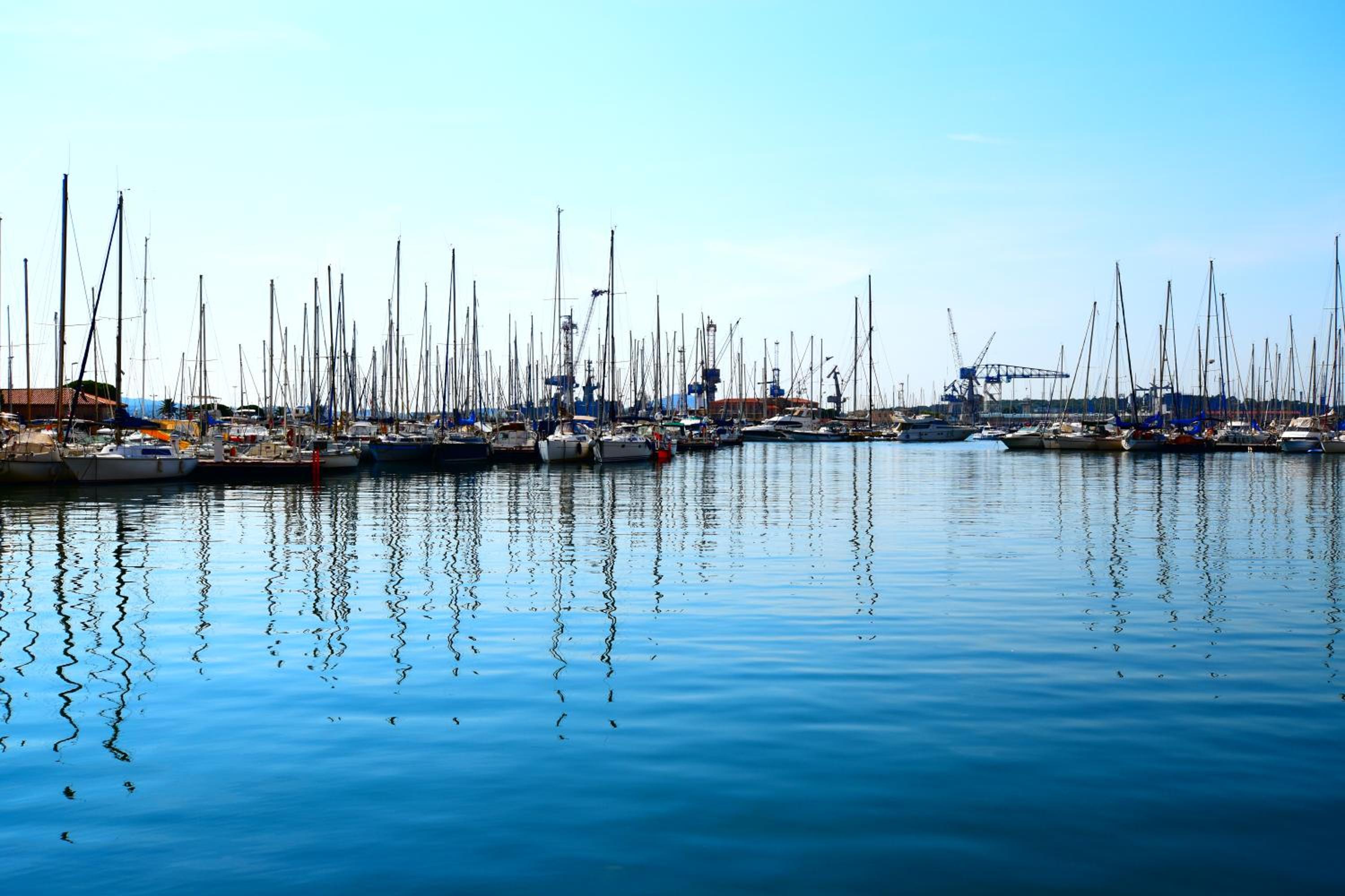 Le Provence Plage, photo 17