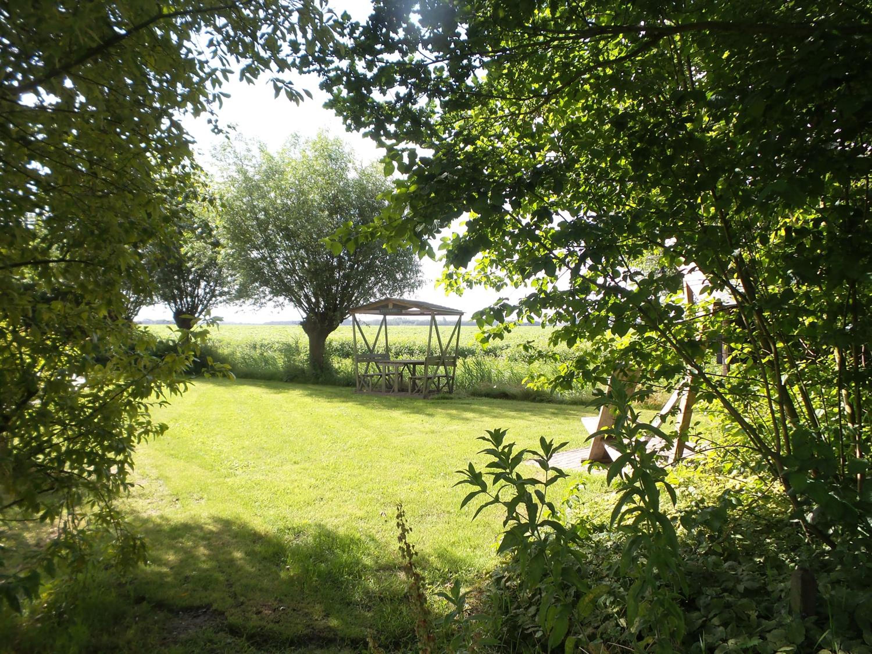 Photo 42