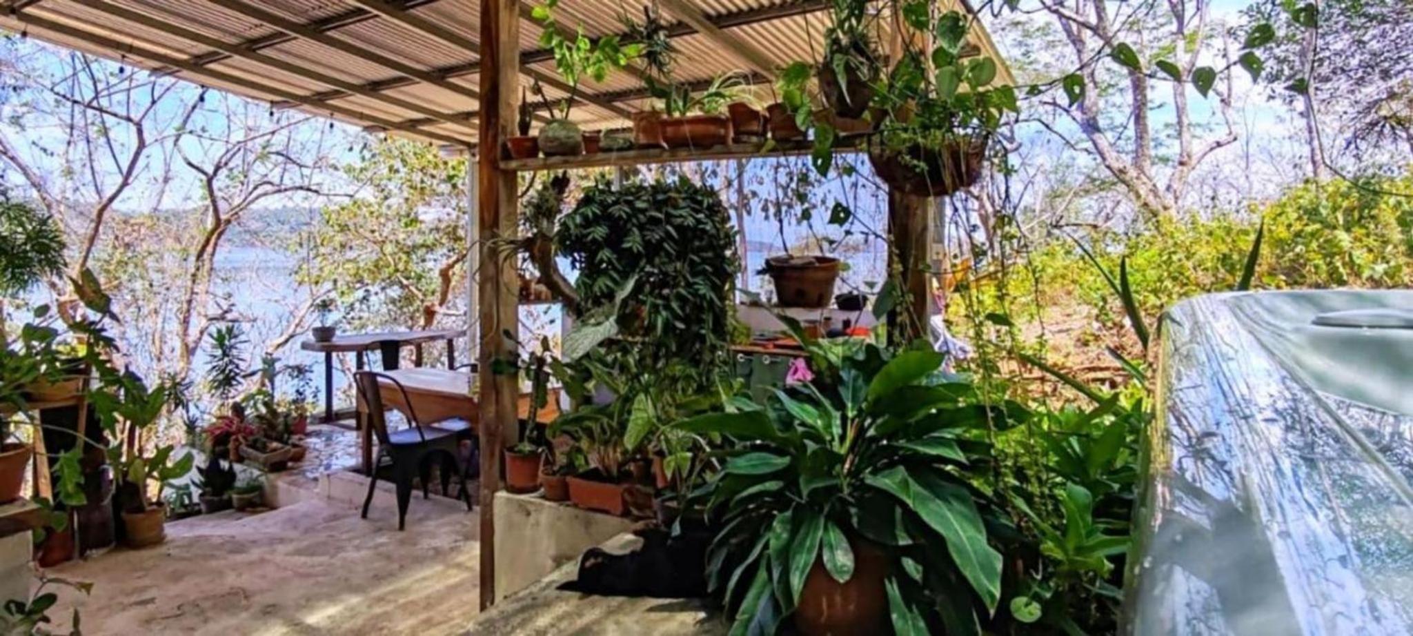 Teak house in a forest above the beach