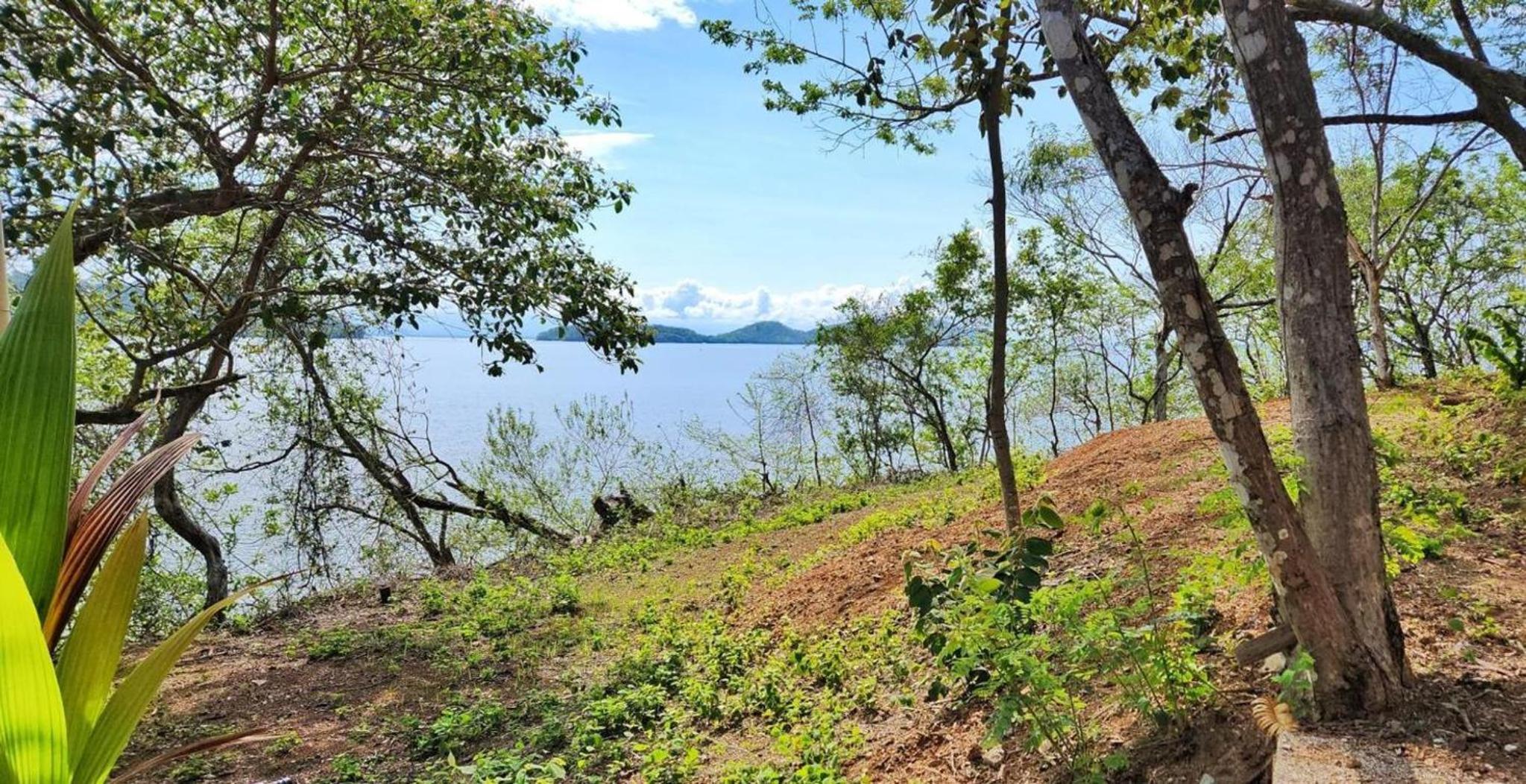 Teak house in a forest above the beach