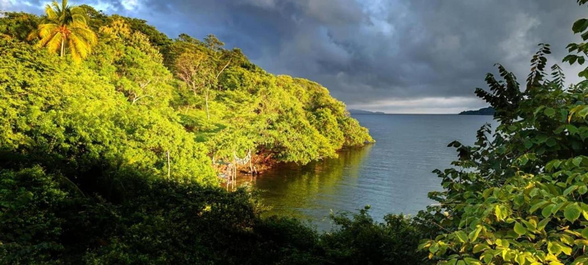 Teak house in a forest above the beach
