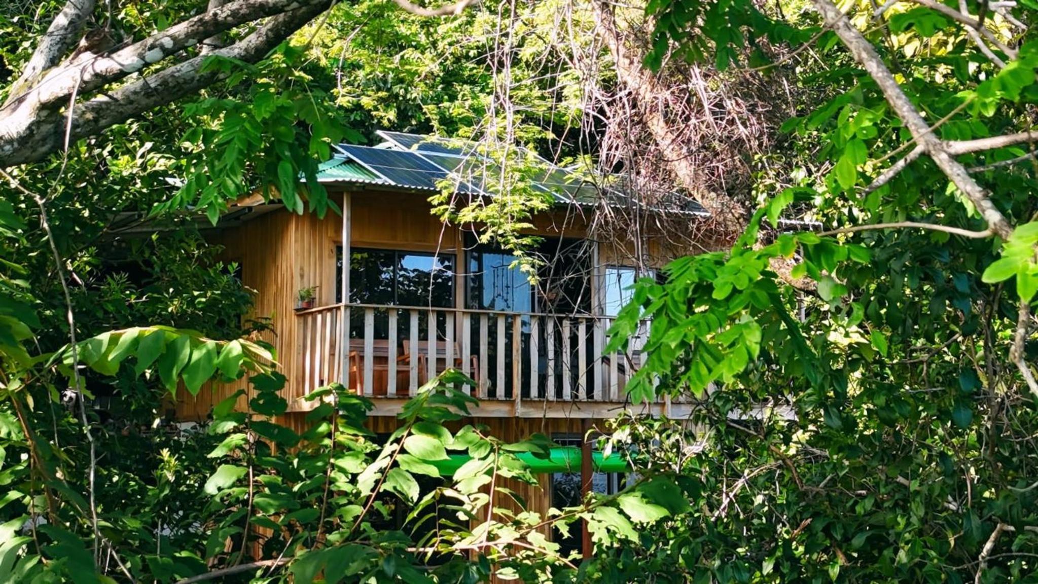 Teak house in a forest above the beach