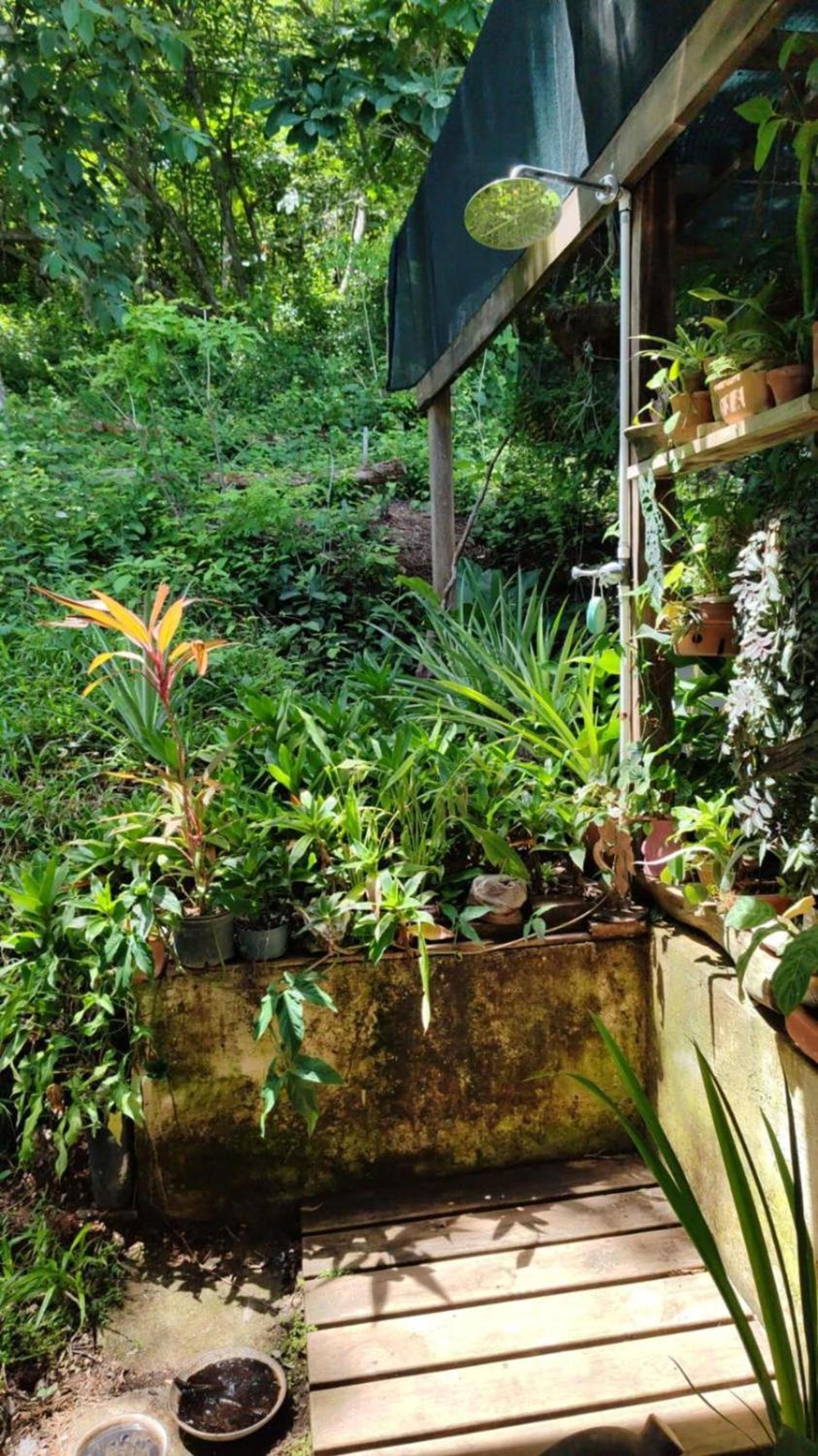 Teak house in a forest above the beach