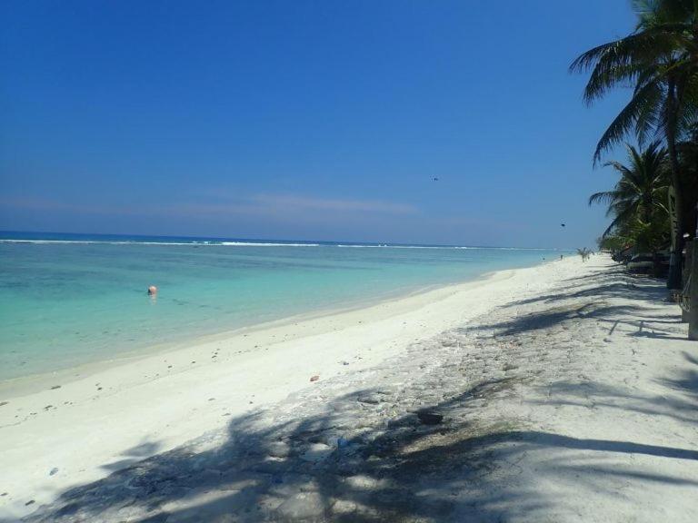 Portia Beach grand