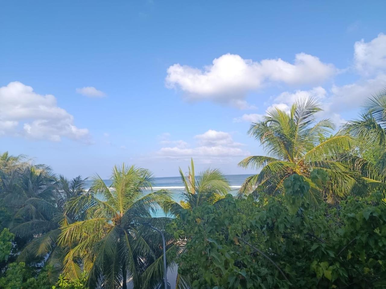 Portia Beach grand