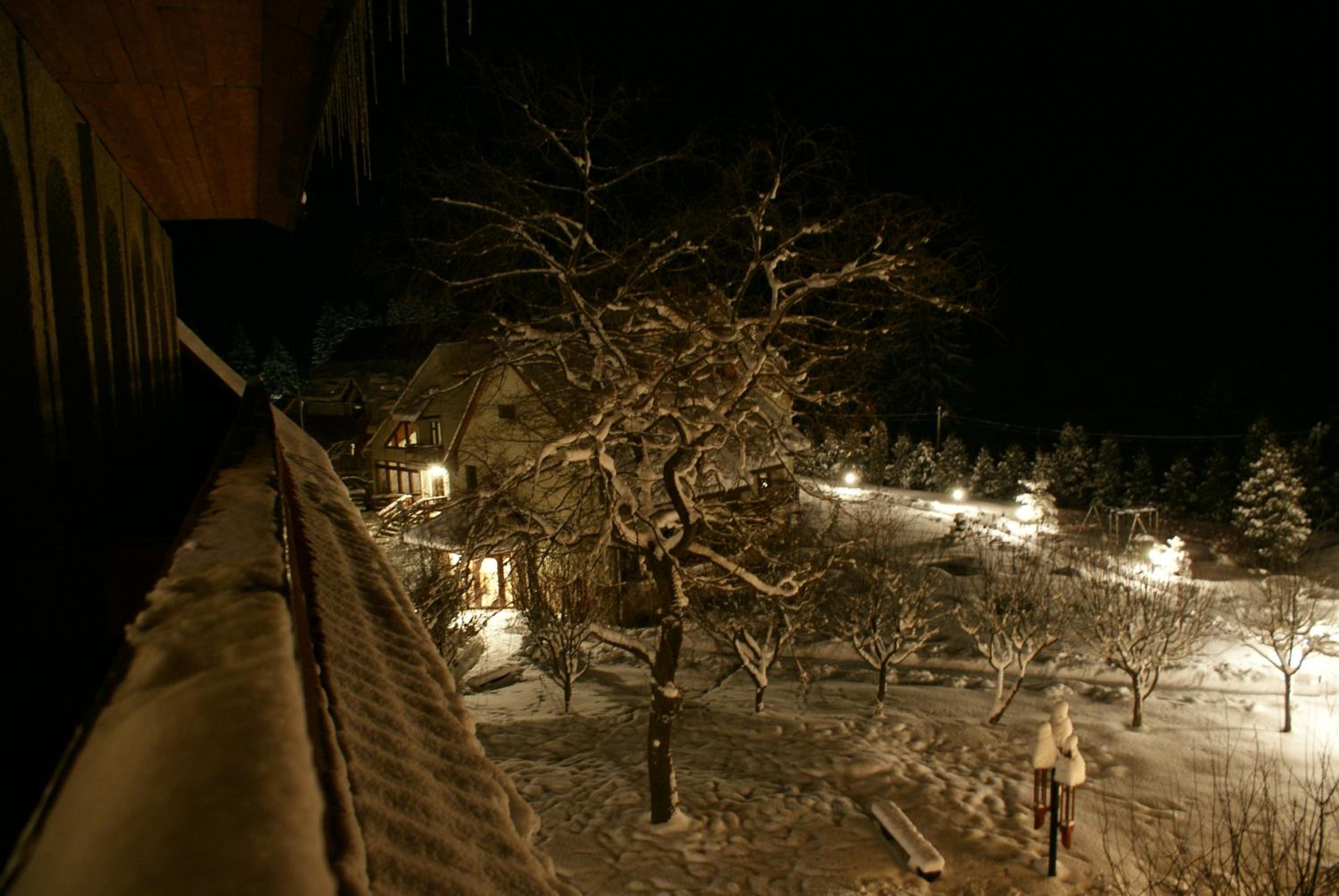 Photo 33