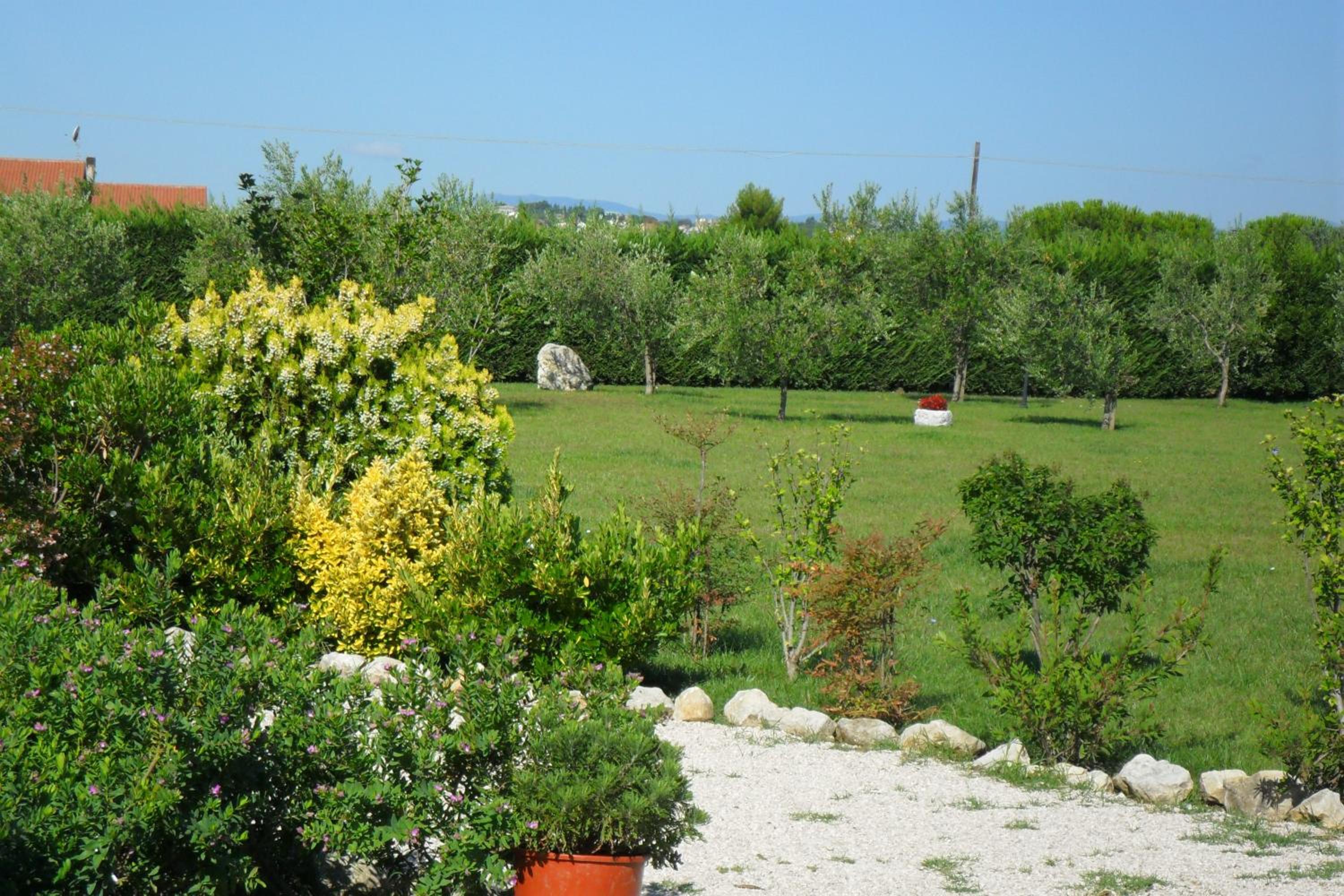 Photo 21