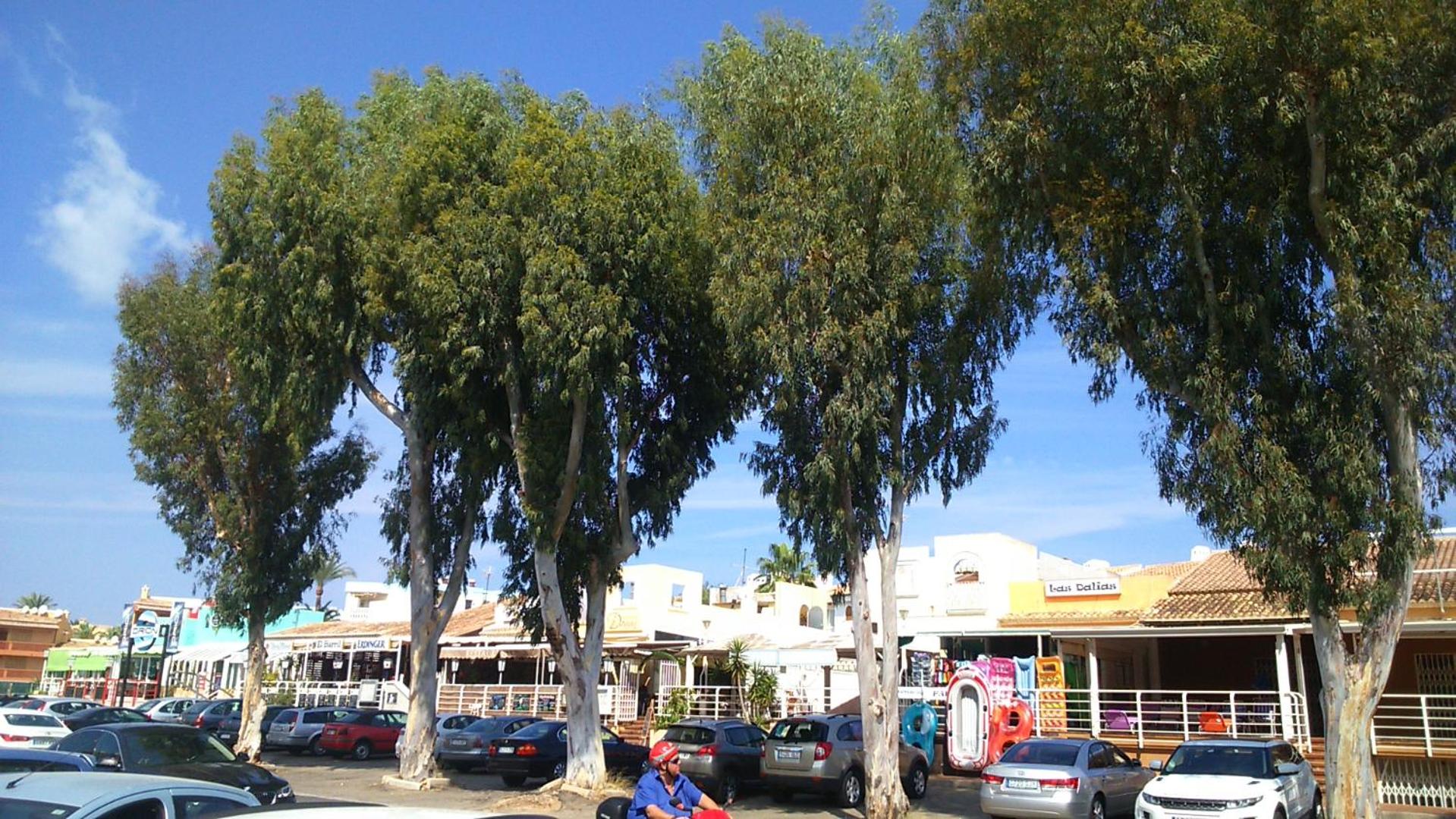 Photo 41