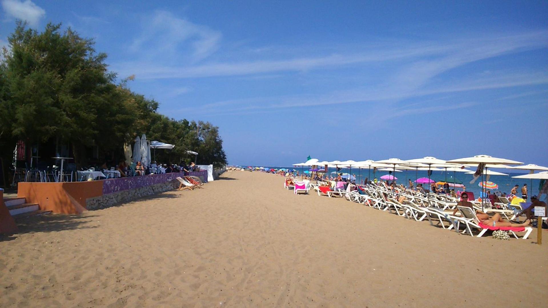 Photo 40