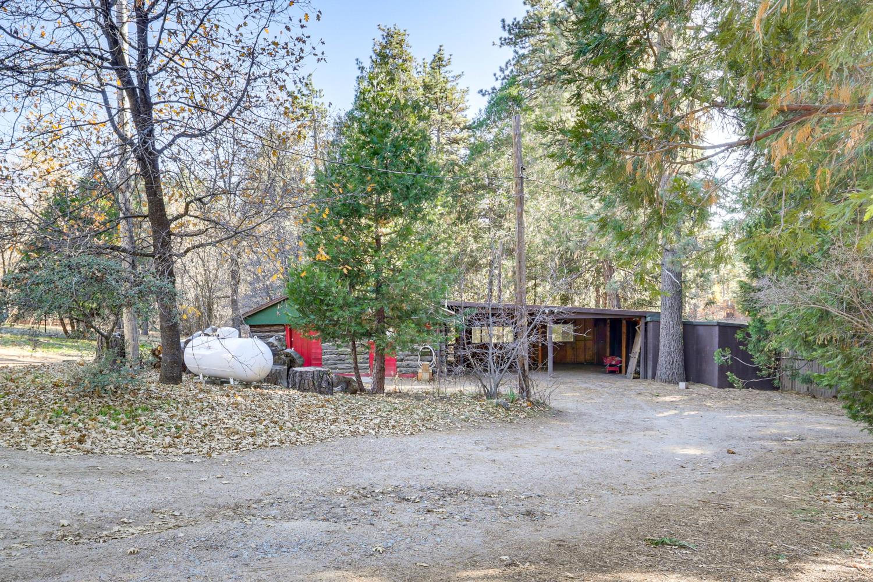 MTB Base Camp! Rustic Cabin By Mt Laguna Trails